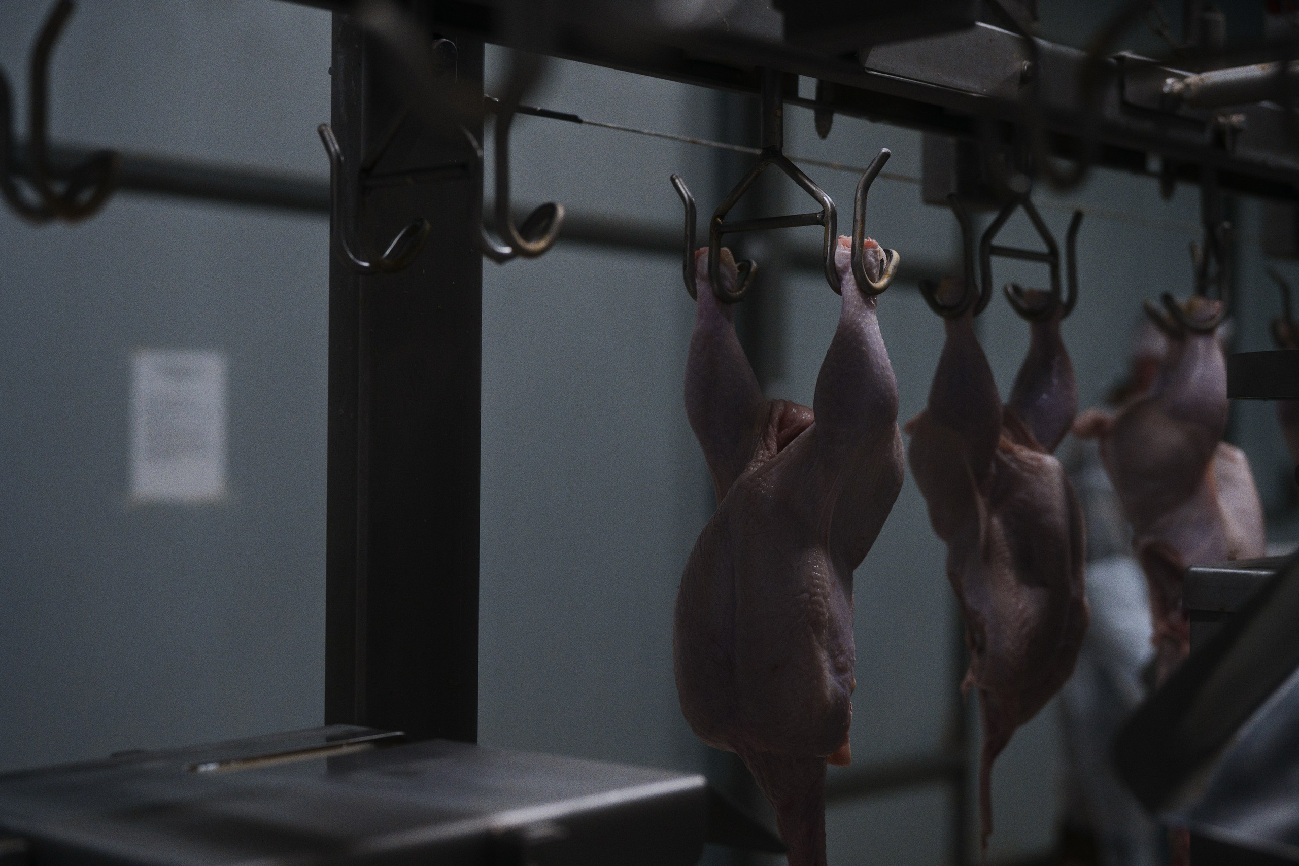 Can you tell a green field from a cold steel rail?. Фотограф Юрин Евгений