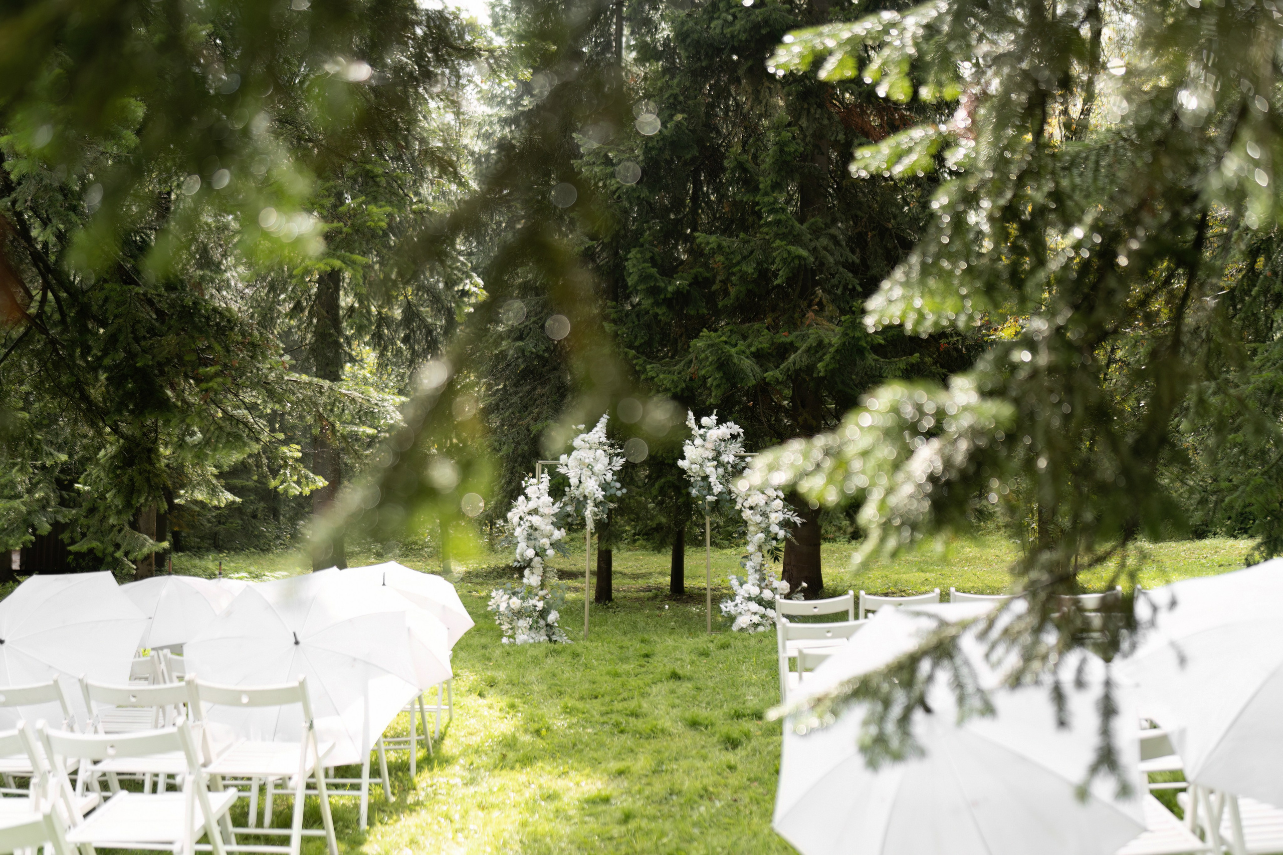 Никита и Татьяна. Свадебный фотограф в Барнауле Четошникова Анна