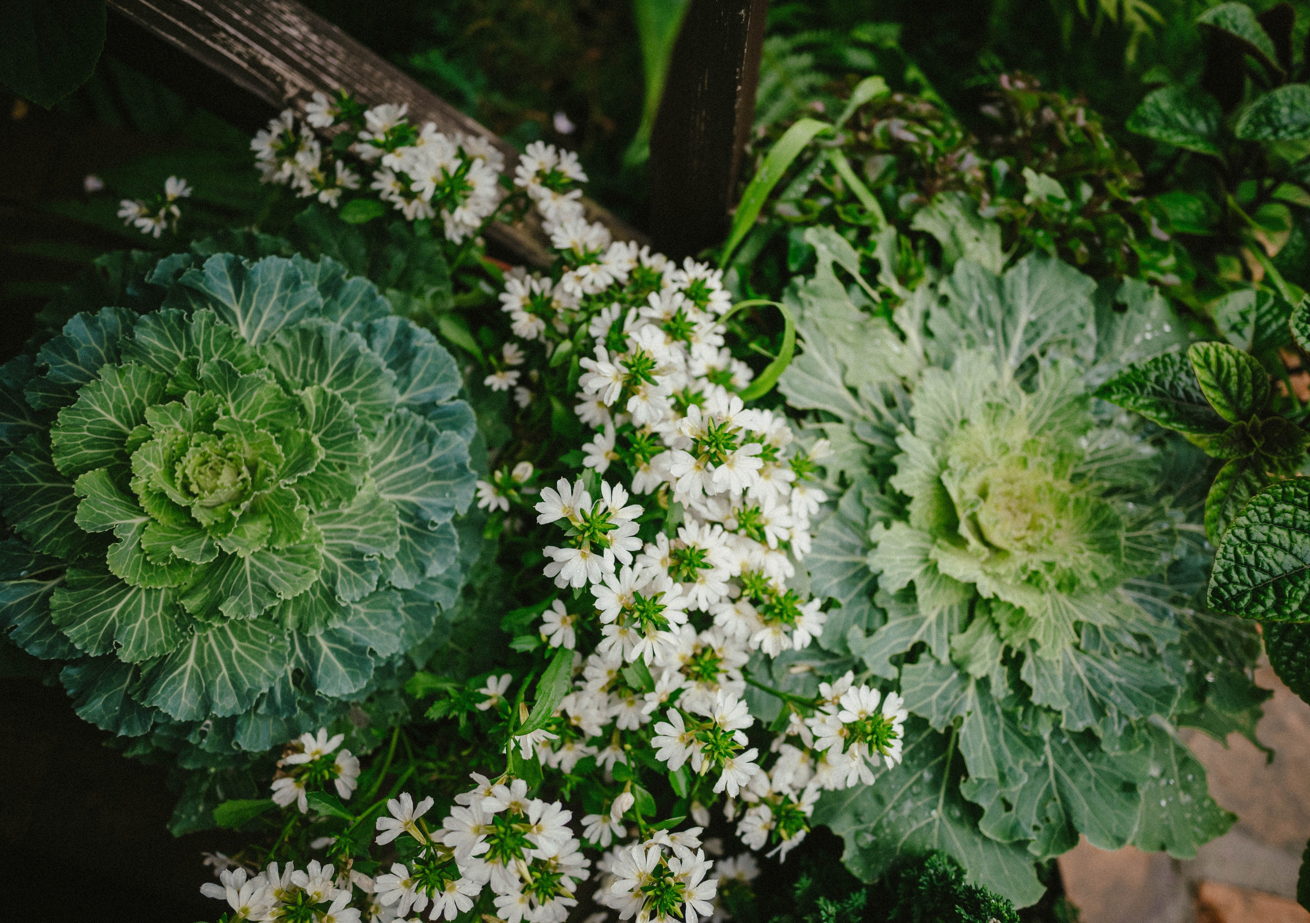 Лесное царство Оксаны. Свадебный и семейный фотограф в Новосибирске, Санкт-Петербурге, Москве