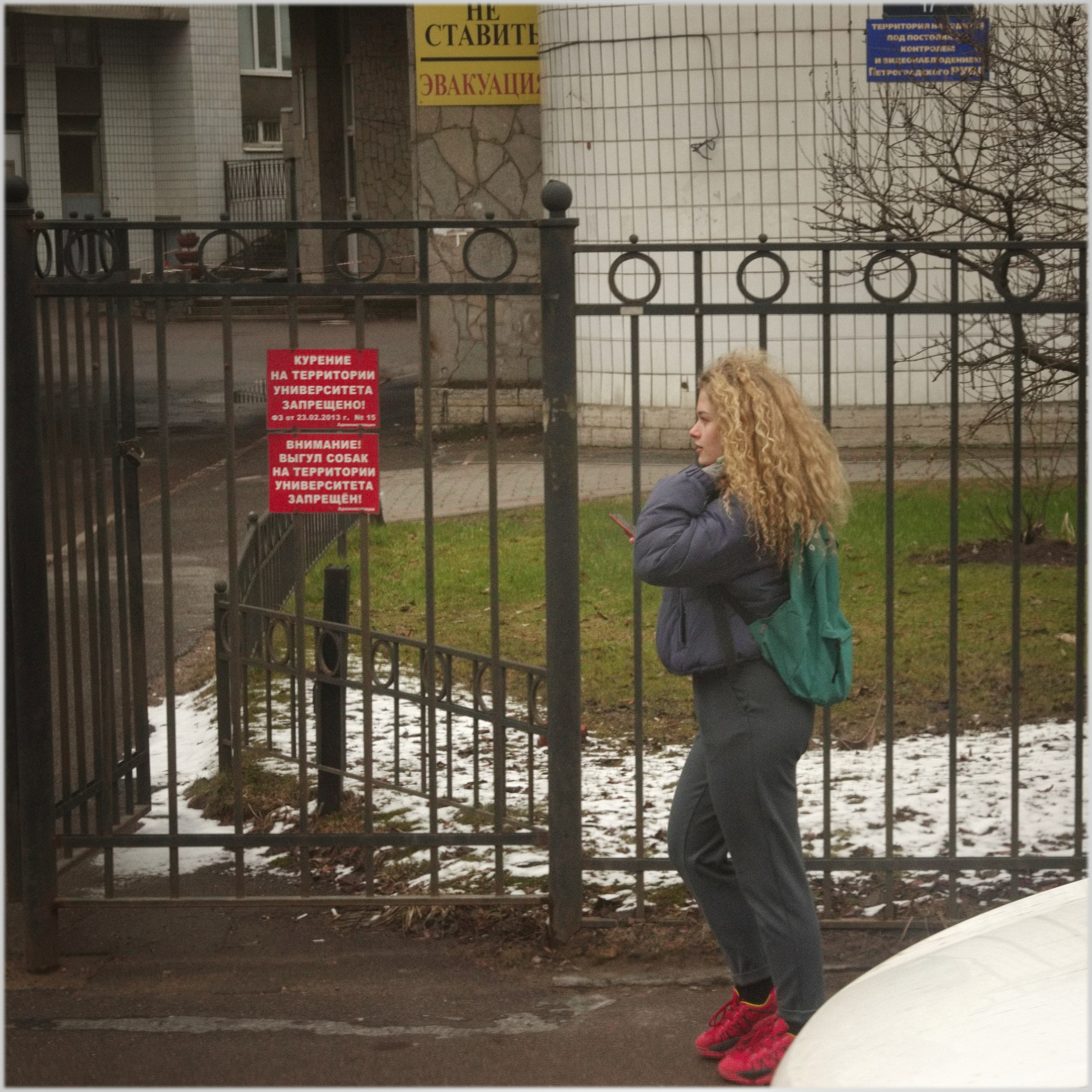 Санкт-Петербург из окна трамвая. Вадим Шейдин