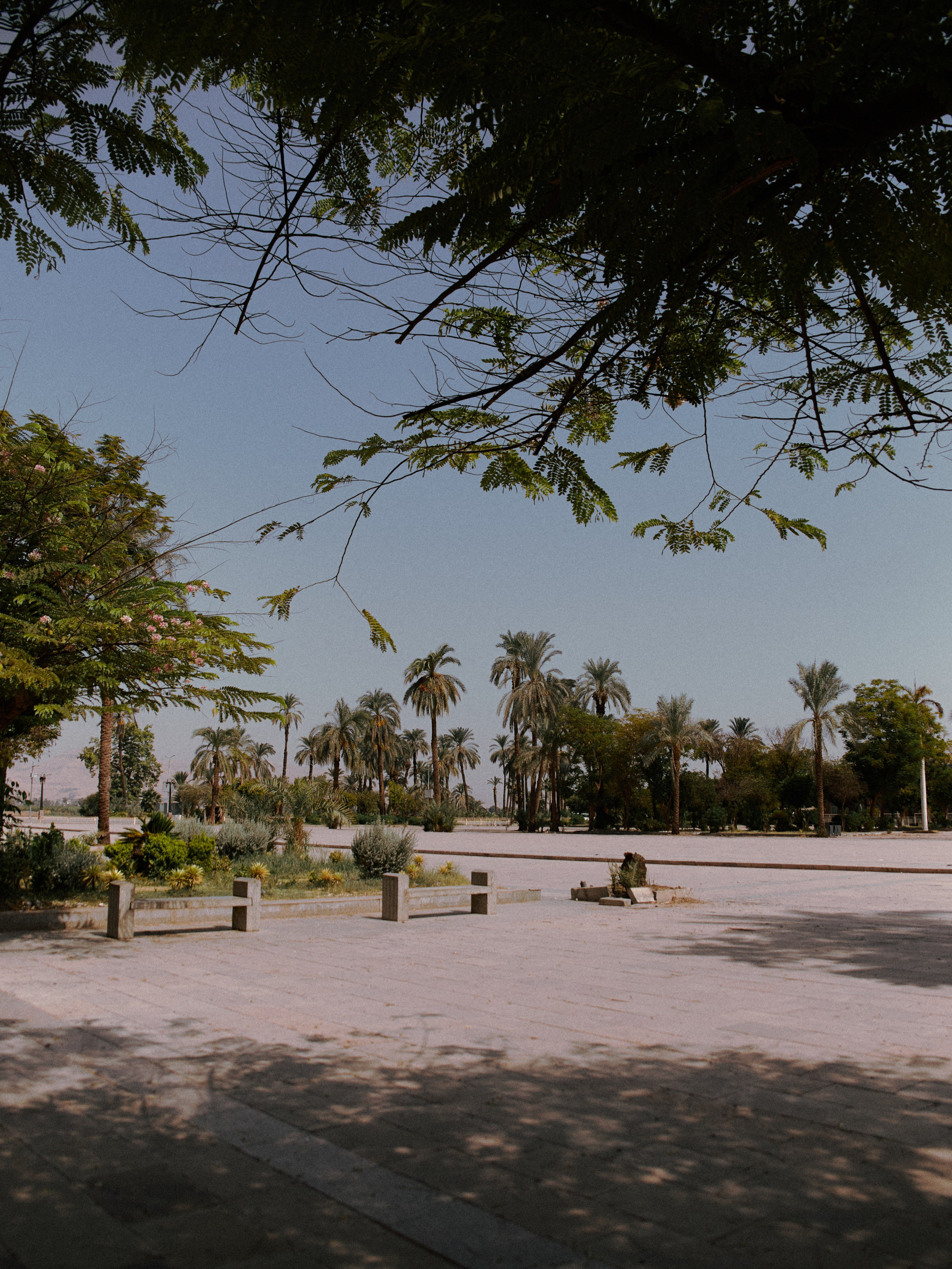 Диптих. Jorgis — фотограф в Хургаде / обучение фотографии