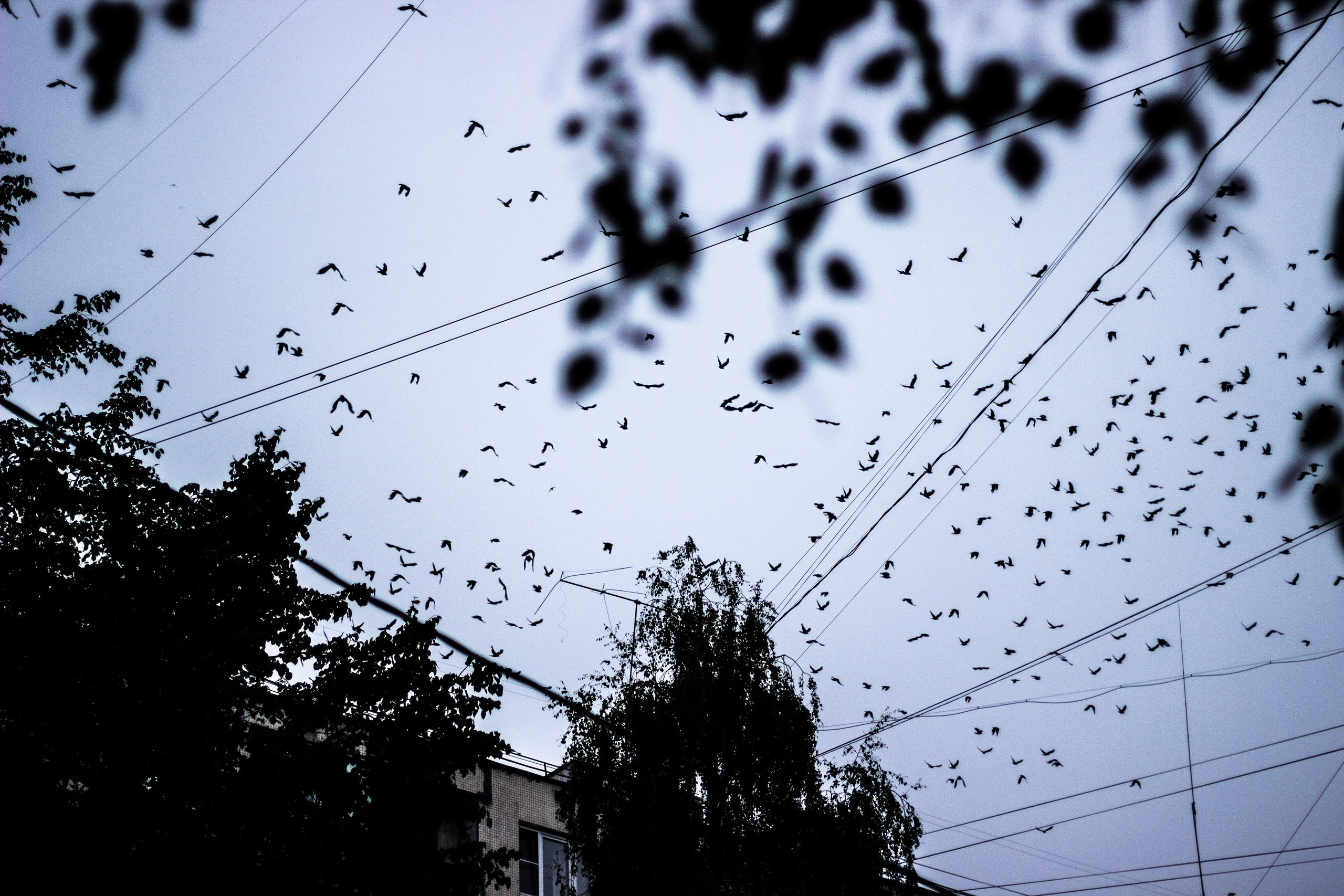 Другое. Jorgis Talè — photographer, kind person, teacher of arts and other mag