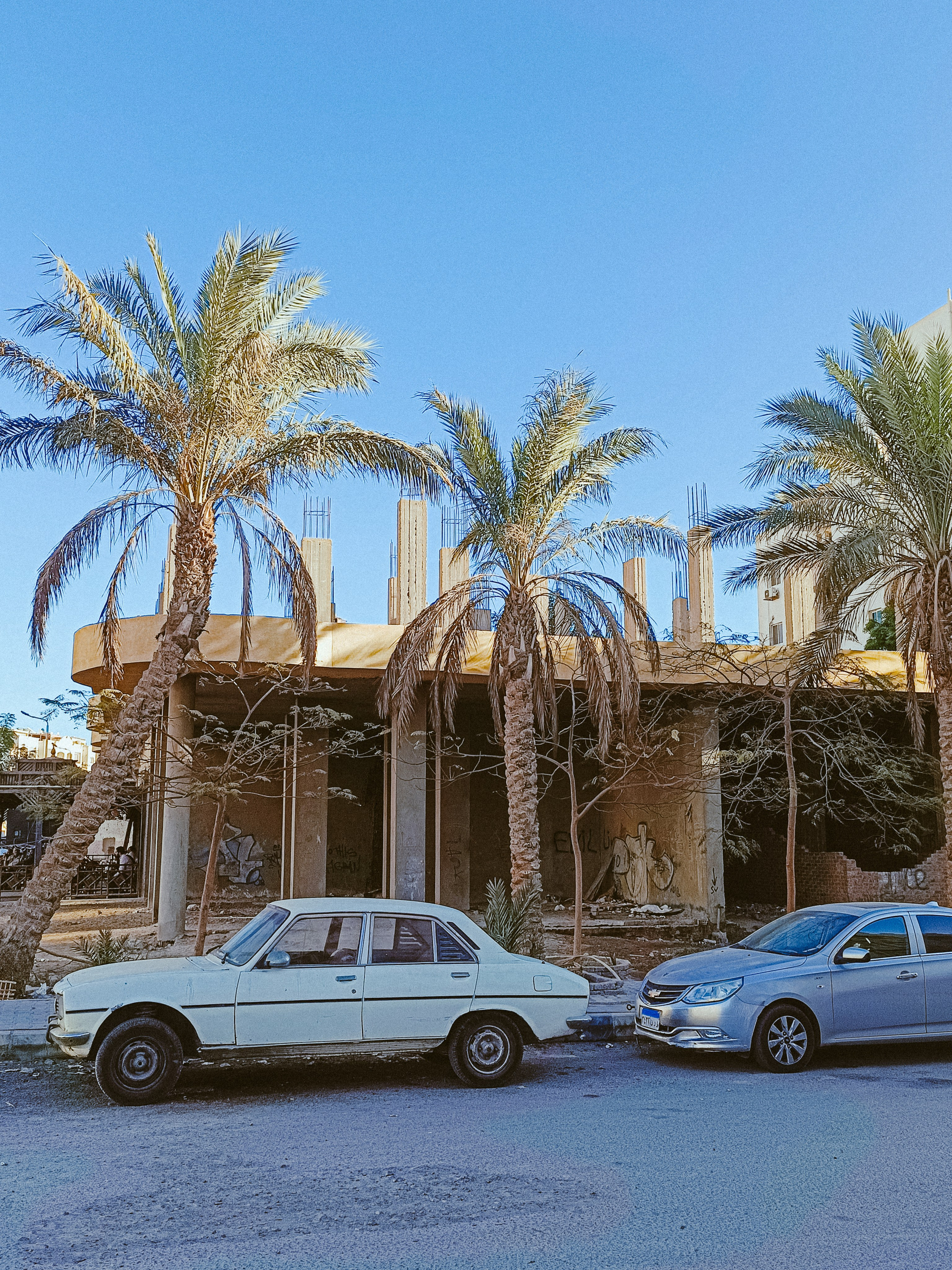 Мобильная. Jorgis — фотограф в Хургаде / обучение фотографии