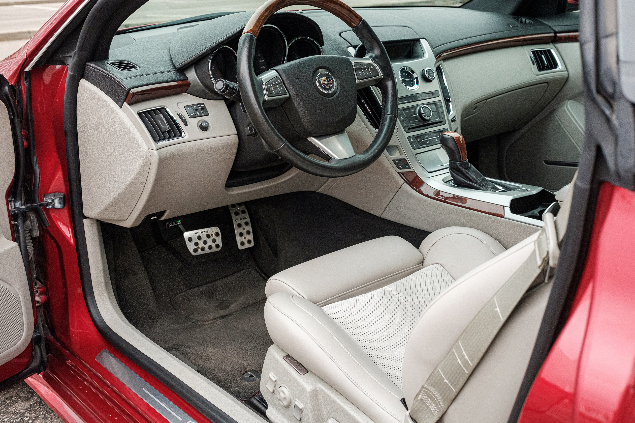 Кэдди. Алексей Никифоров фотограф Москва, Химки