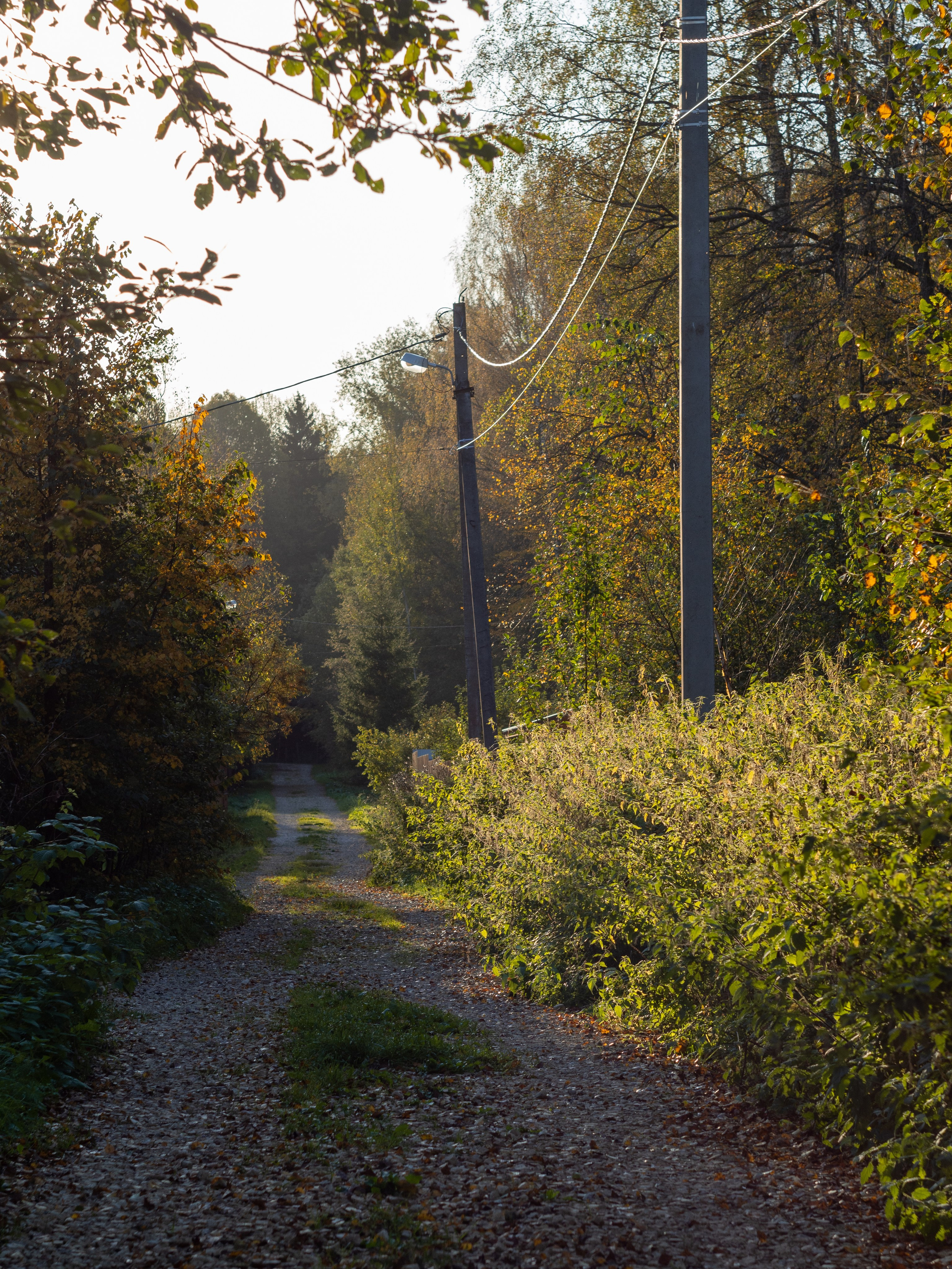 20230923-25 Родники. Дмитрий Ремизов. Фотография, как хобби