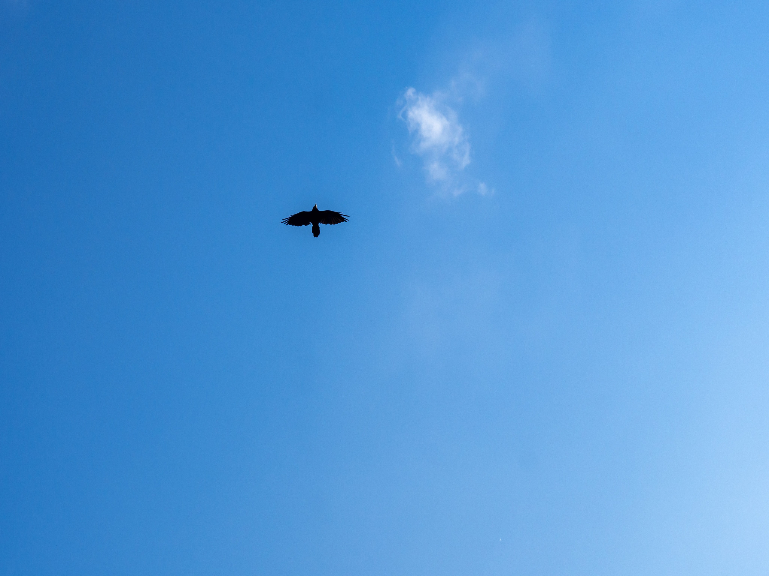 20220805 Старица и Тверь. Дмитрий Ремизов. Фотография, как хобби