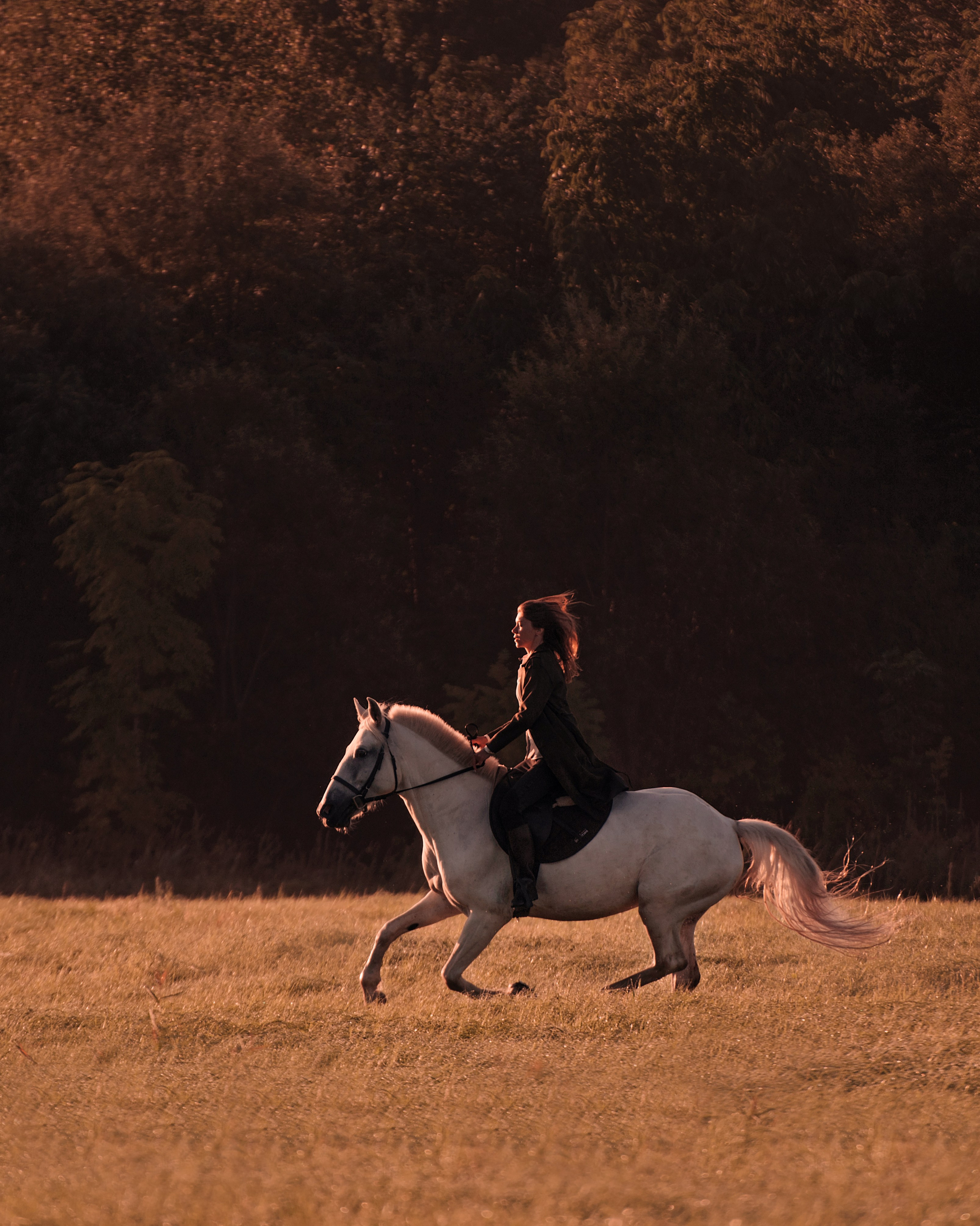 Конное: рассвет на поле с Лерой и Златой. Портфолио
