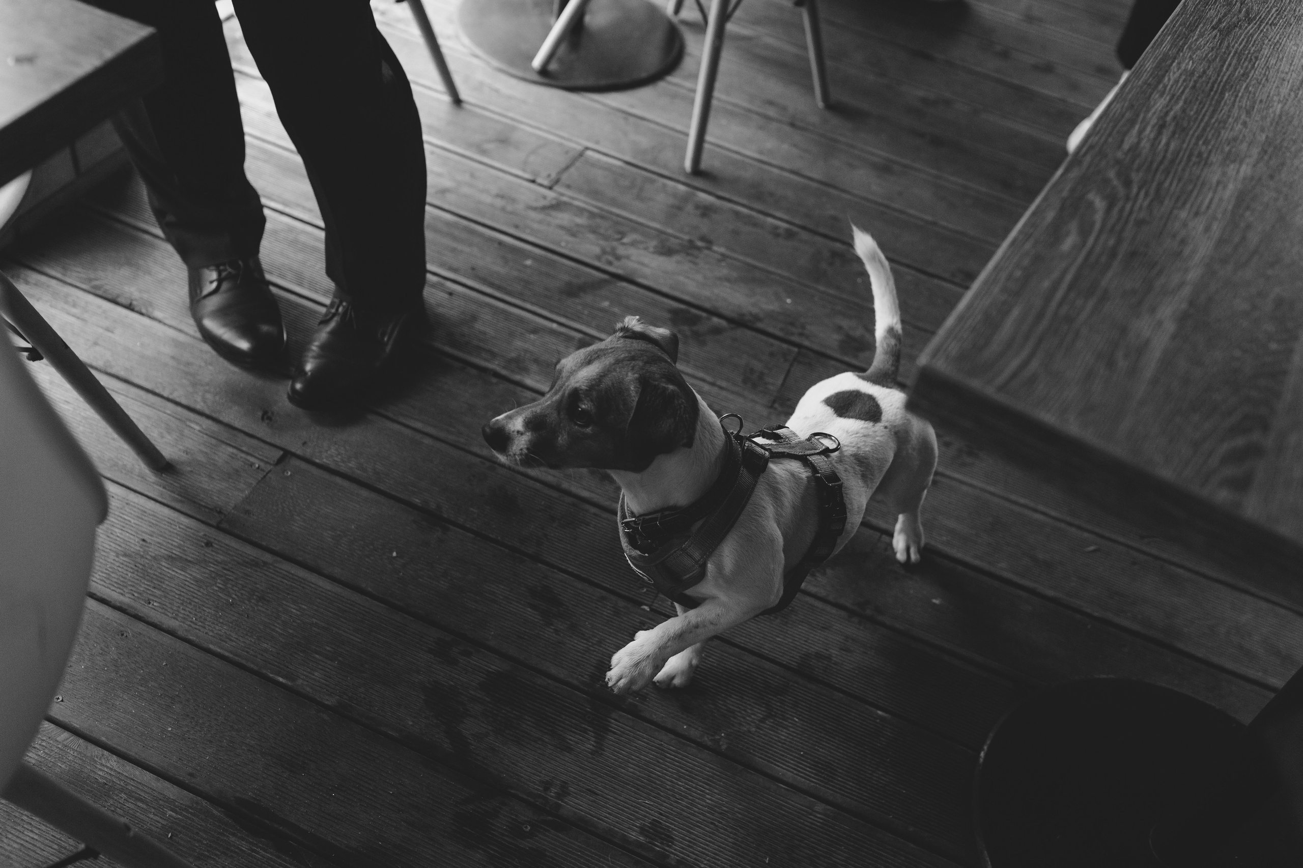 Анастасия и Сергей. Фотограф Ксюша Белоносова