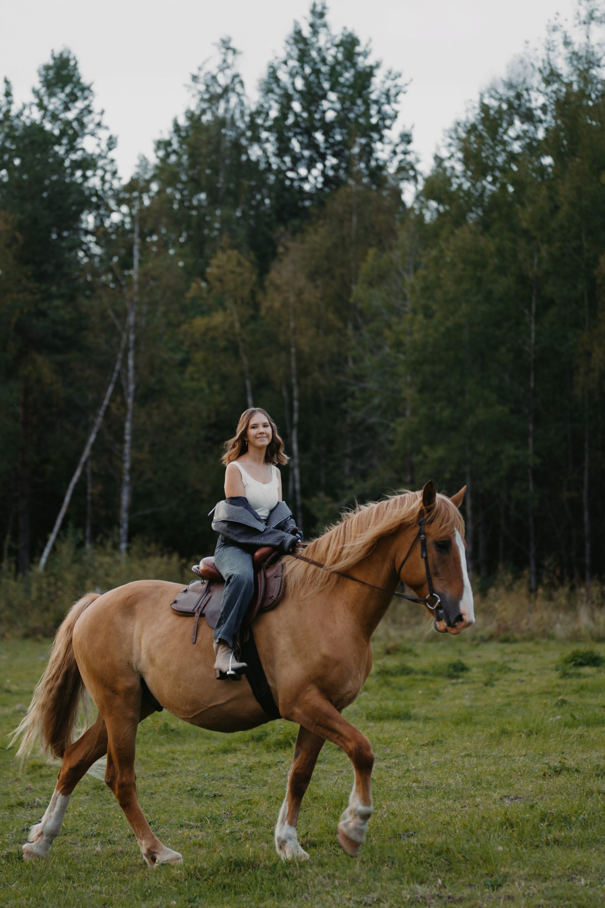 Конные. Главная