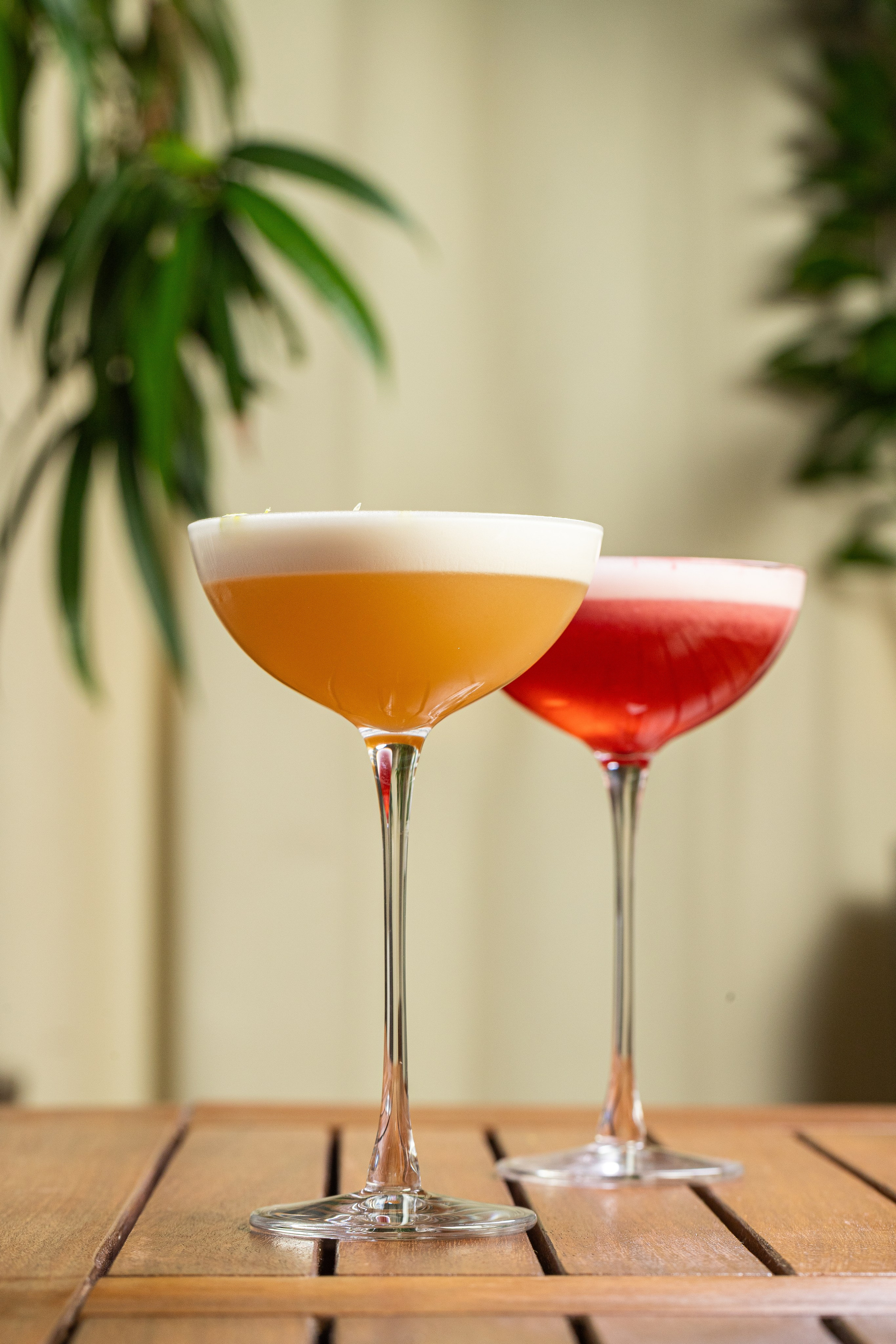 Shore House Village. Краснов Максим фуд-фотограф, предметный фотограф, Москва