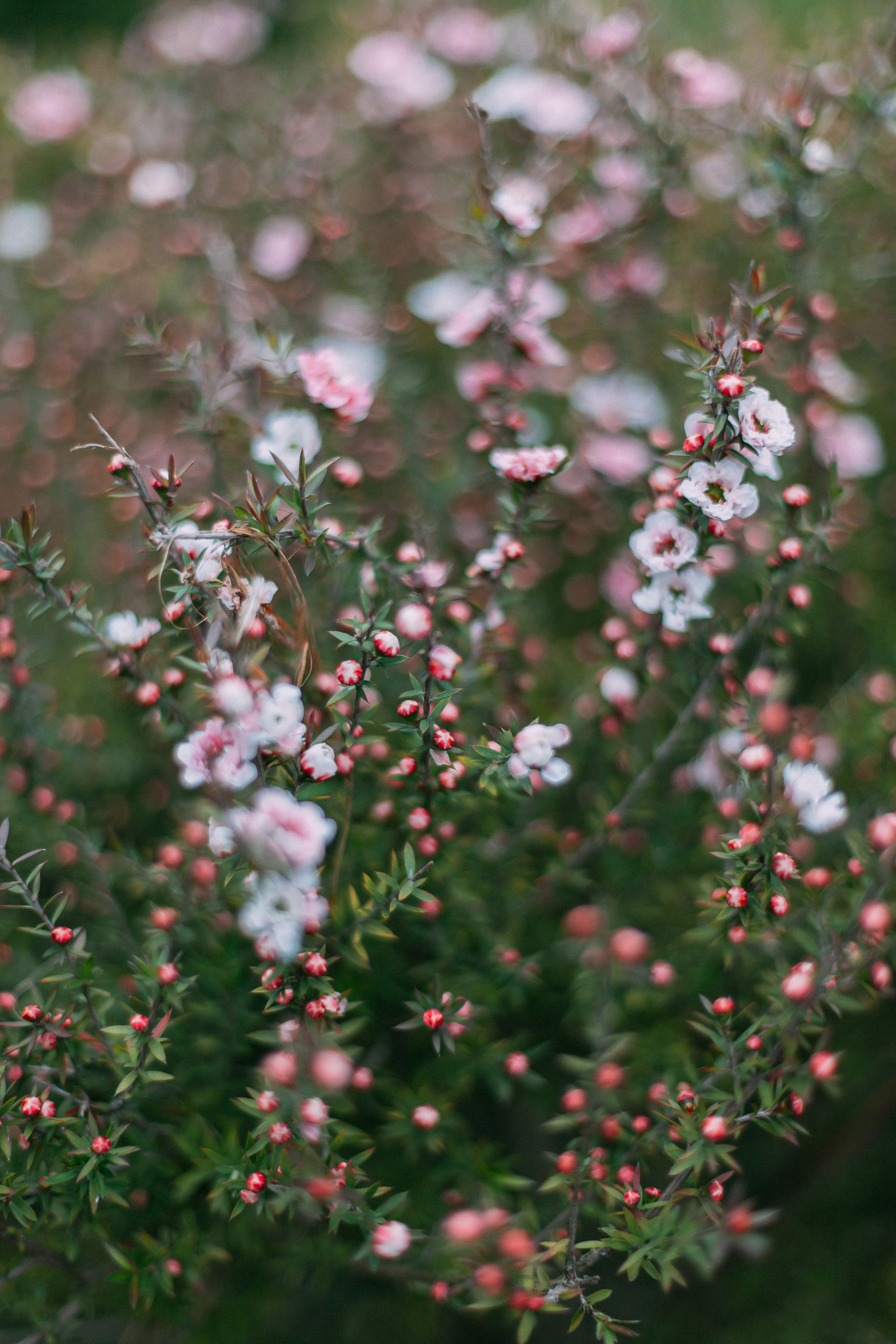 Сочи. Аня Степанова