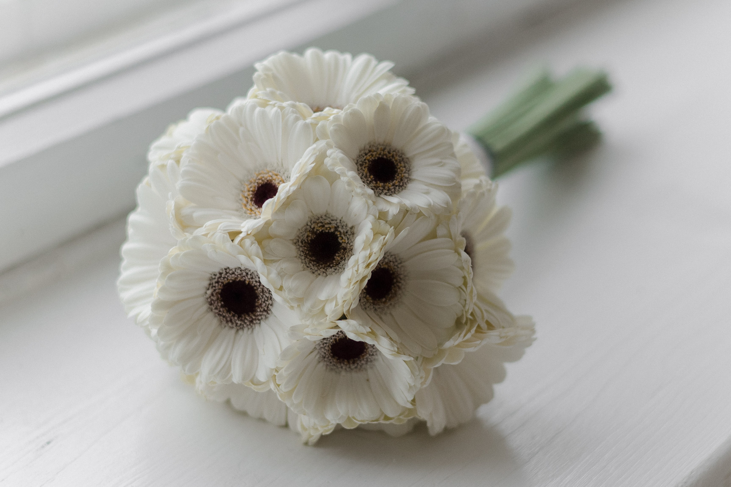 Дмитрий и Анна. Семейный и свадебный фотограф в Краснодаре Елизавета Замаева