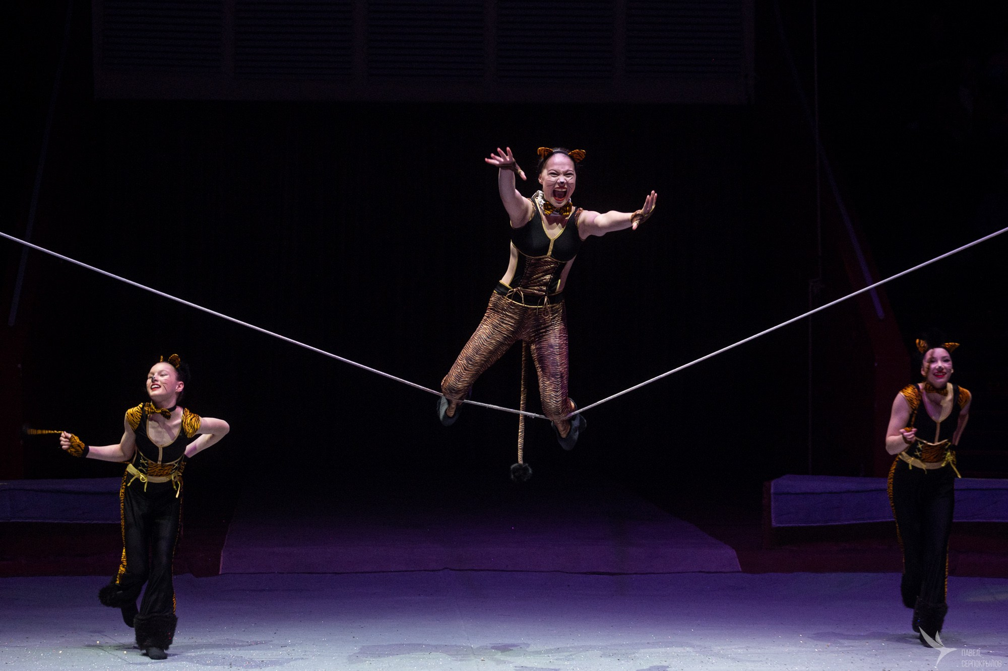 Гала-представление ЭВОЛЮЦИОНЕРЫ. Репортажный фотограф в Казани Павел Серпокрылов