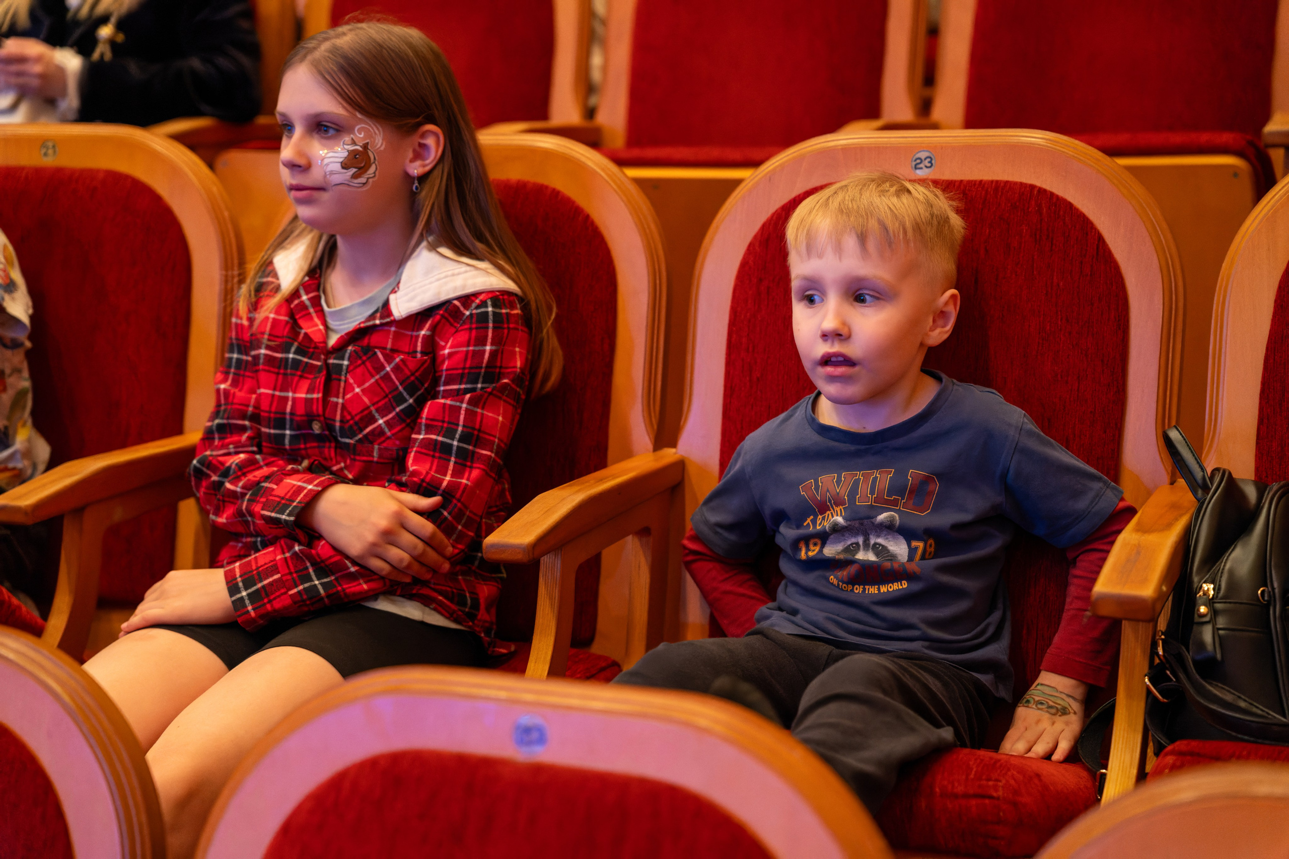 Съёмка благотворительного спектакля «Новая история деревянного мальчика». «Студия DRONAVT`s» — видеосъёмка и фотография г. Москва