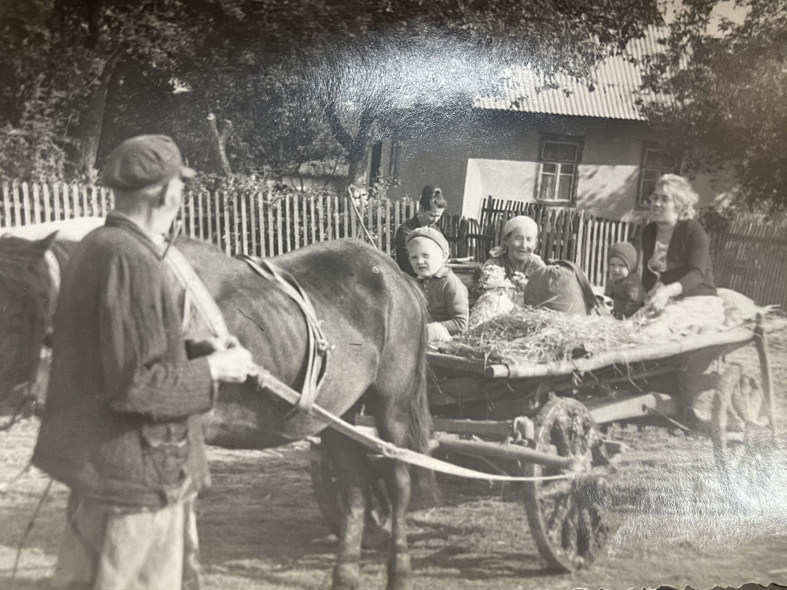Мусихин Михаил Аркадьевич — сайт памяти о добром и светлом человеке
