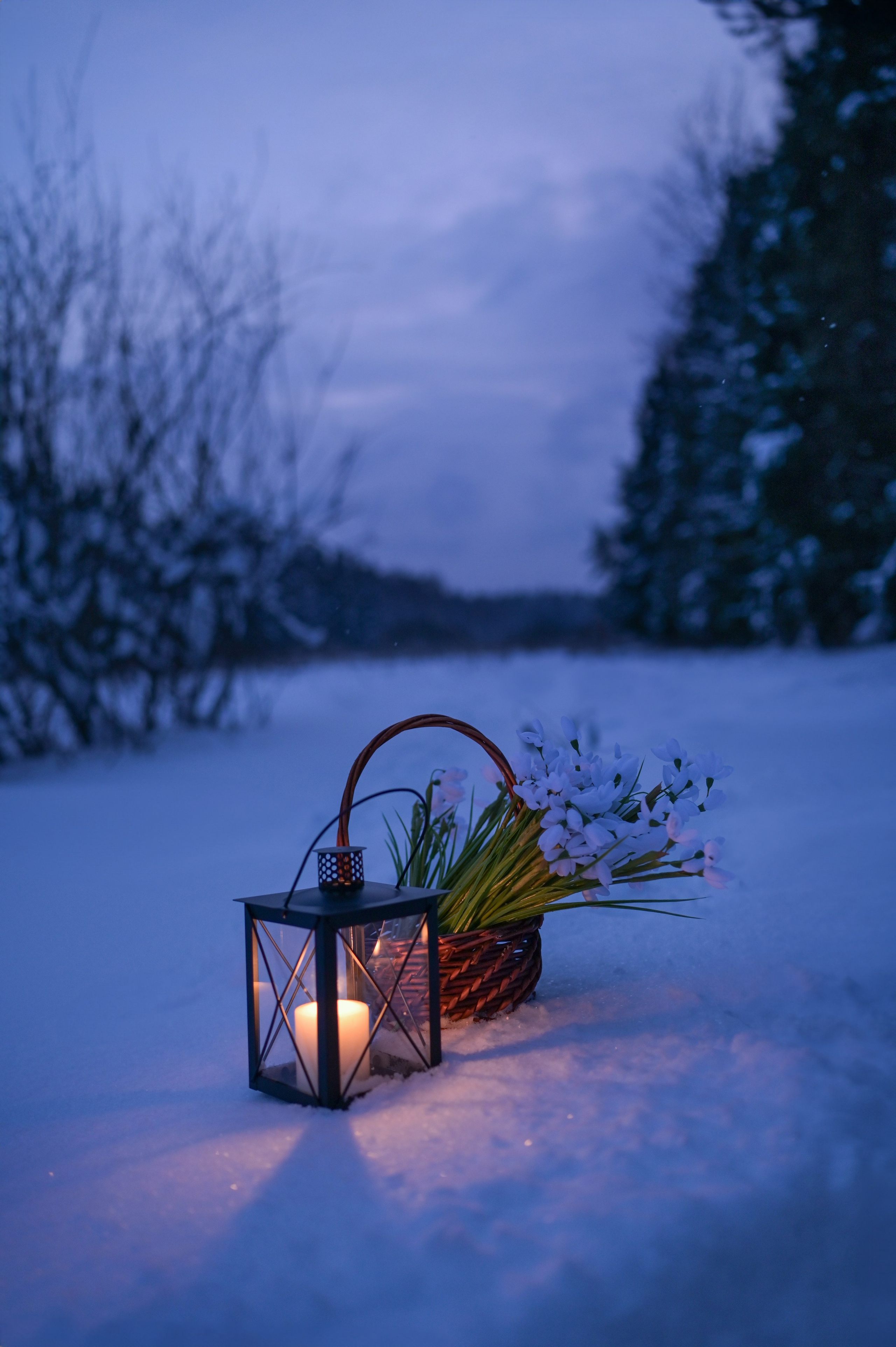 Сюжетная съемка. Наталия Моргунова. Фотограф в Королеве и Москве