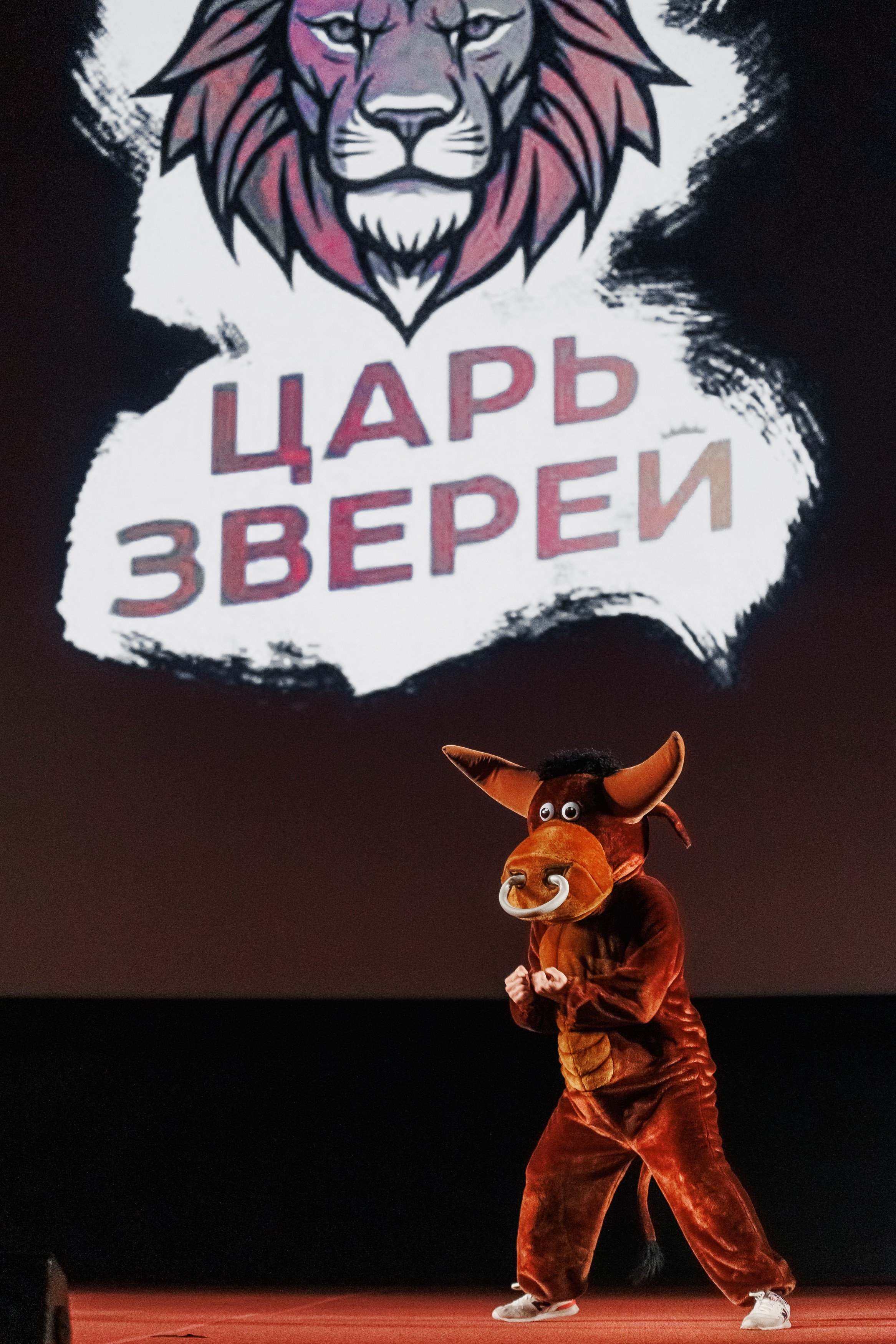 Закрытый показ Шоу. Репортажный фотограф. Москва. Алина Ланская