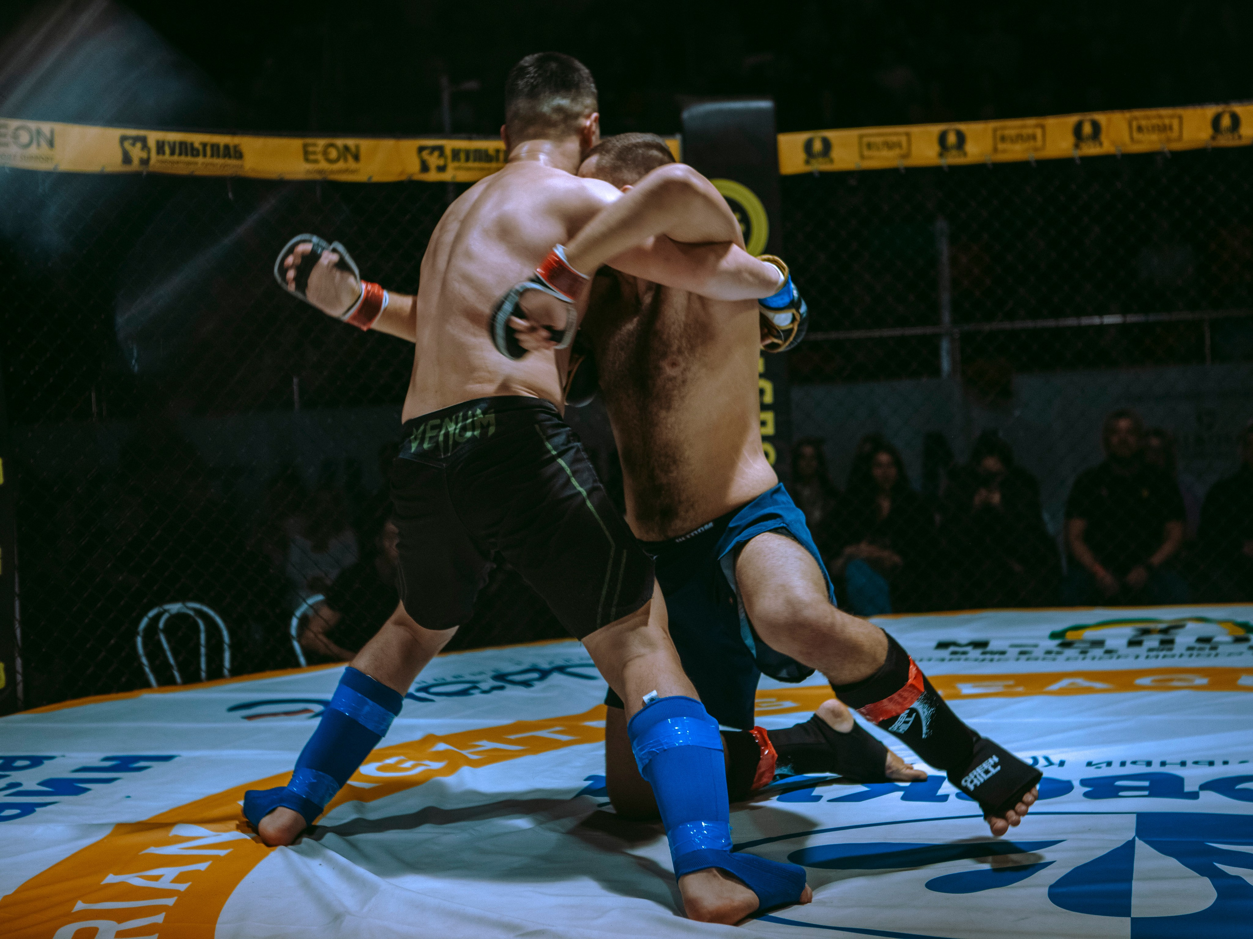 SFL 17 | Siberian Fighting League. Портретный фотограф в Москве Дарья Цезария