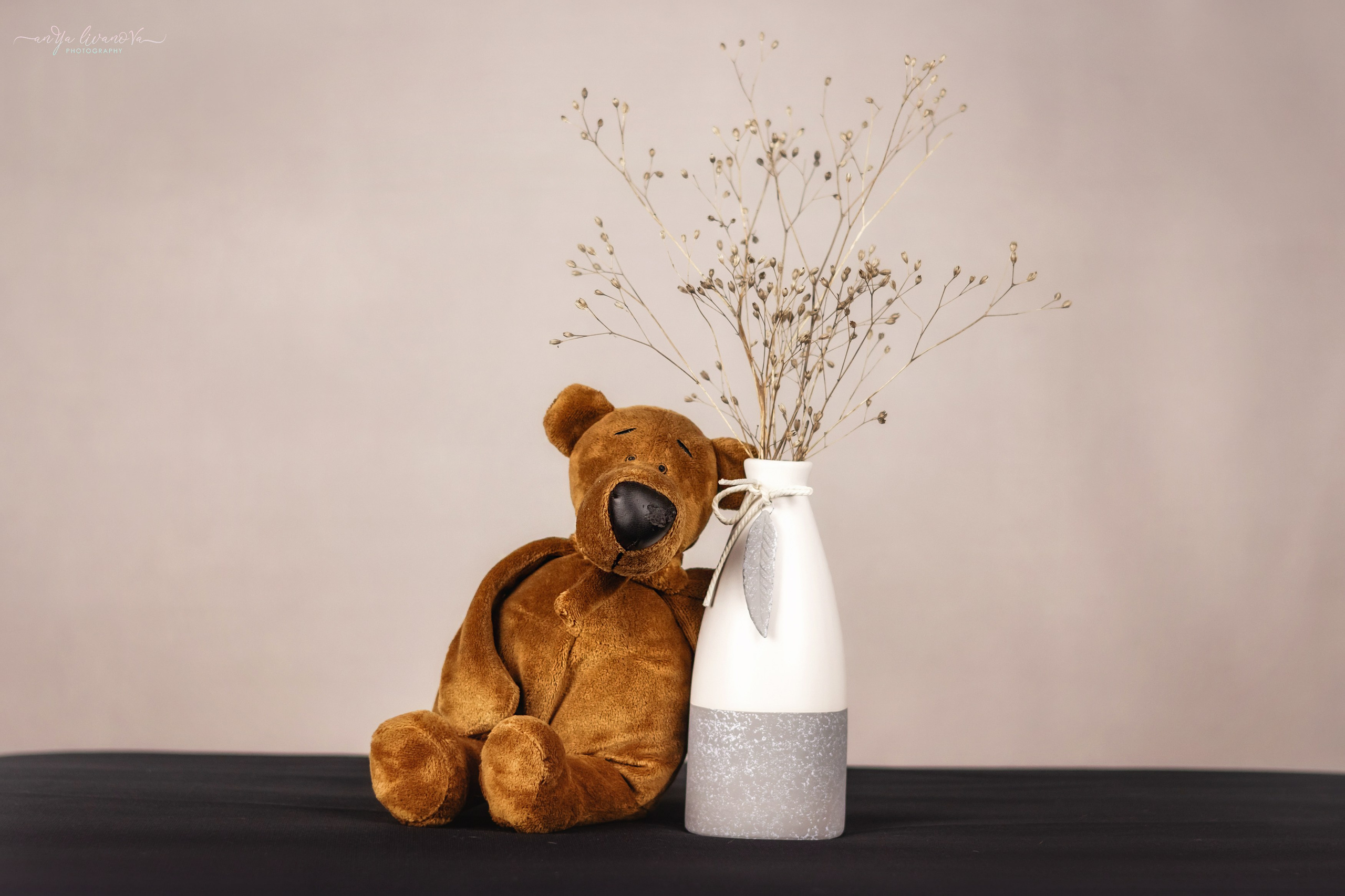 Светлый фон. Фотограф анималист Аня Ливанова | Рыбинск