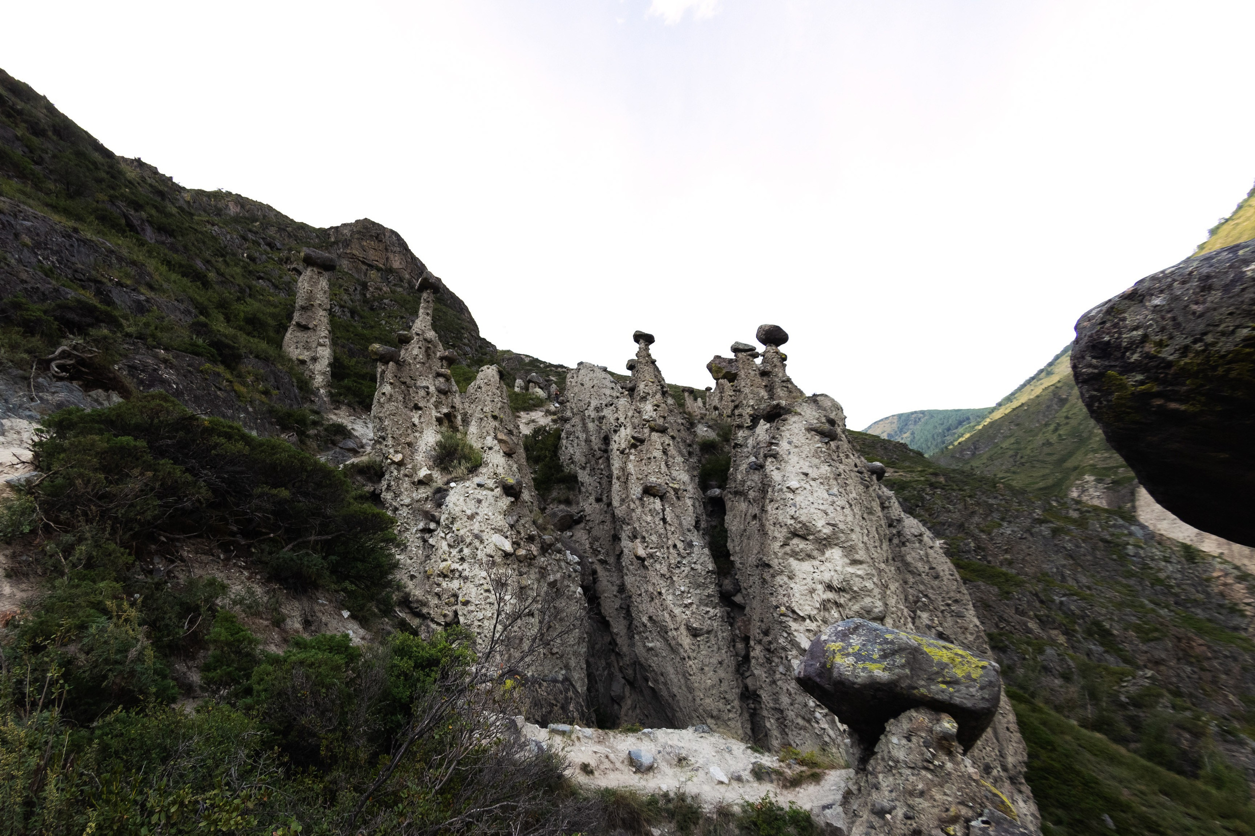 АЛТАЙ 2024 / ALTAI 2024. Главная