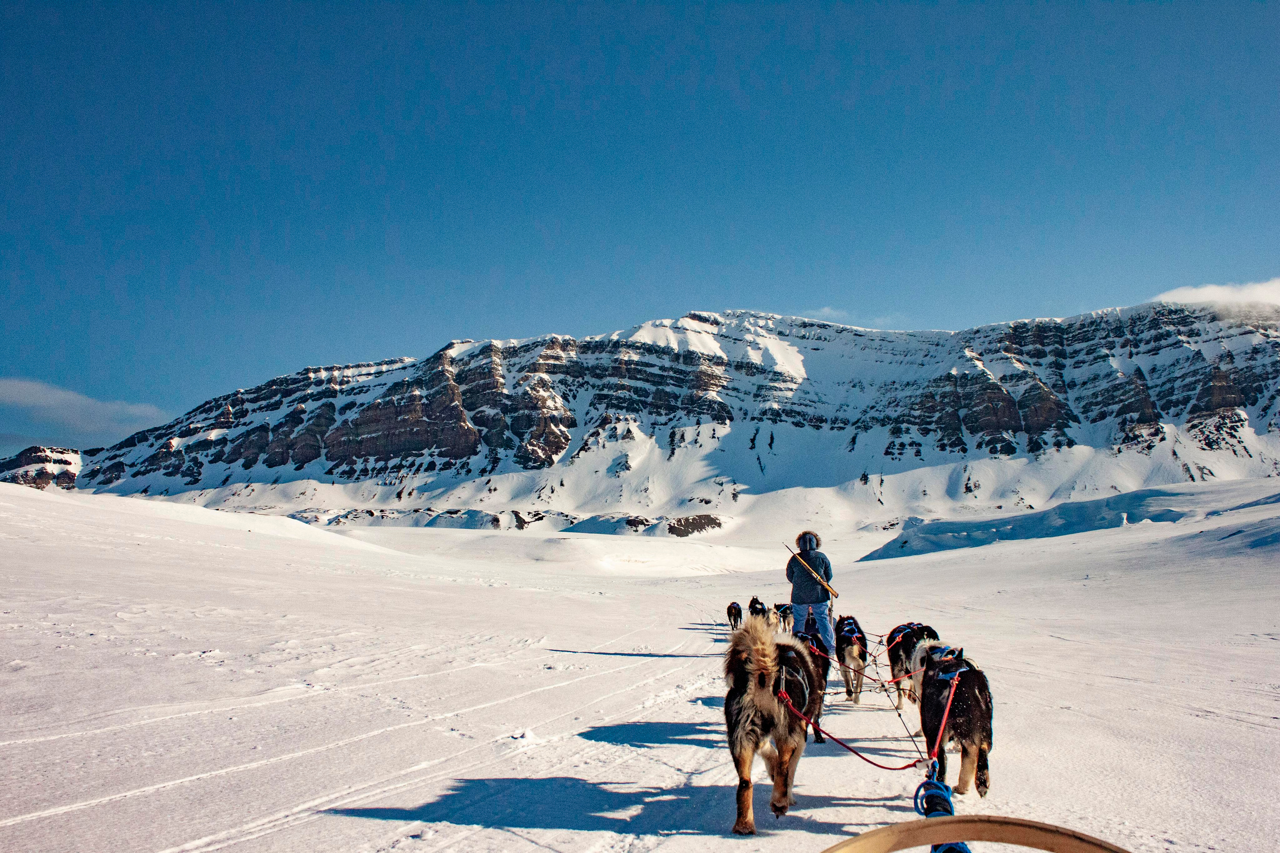 Архипелаг Шпицберген. Работа в Арктике. Фотограф Москва, Сергиев Посад