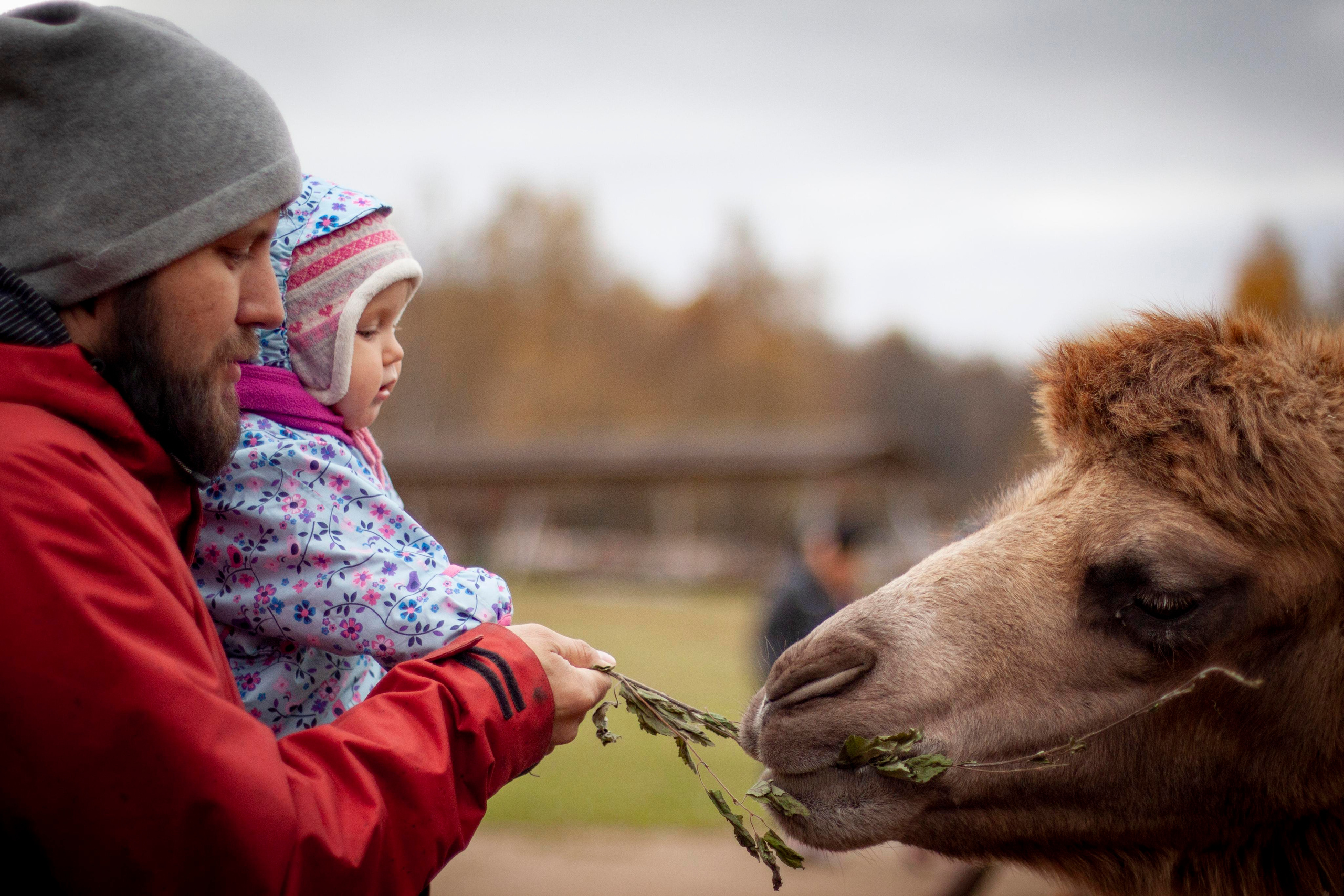 Фотограф на мероприятие. Фотограф Москва, Сергиев Посад