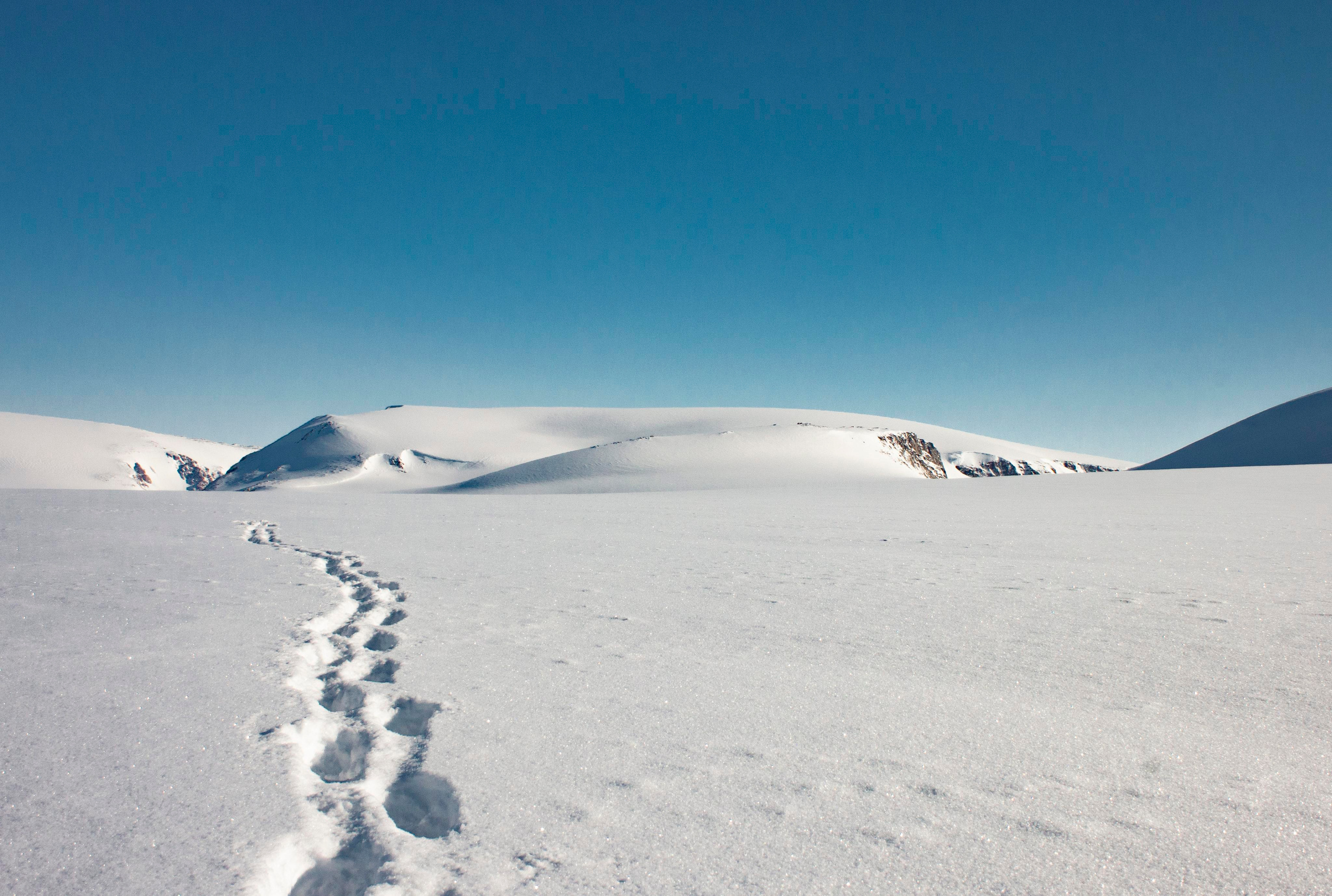 Архипелаг Шпицберген. Работа в Арктике. Фотограф Москва, Сергиев Посад