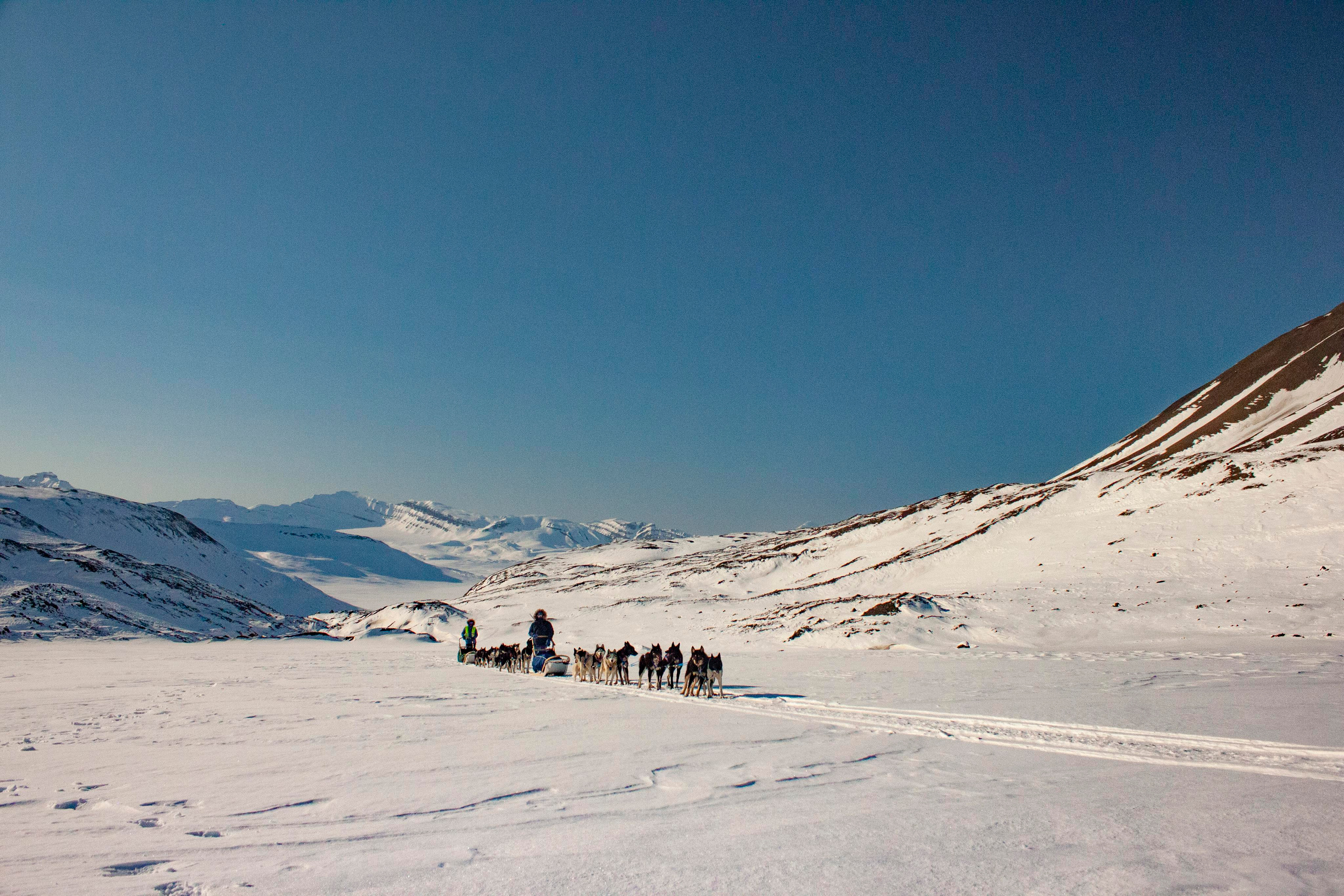 Архипелаг Шпицберген. Работа в Арктике. Фотограф Москва, Сергиев Посад