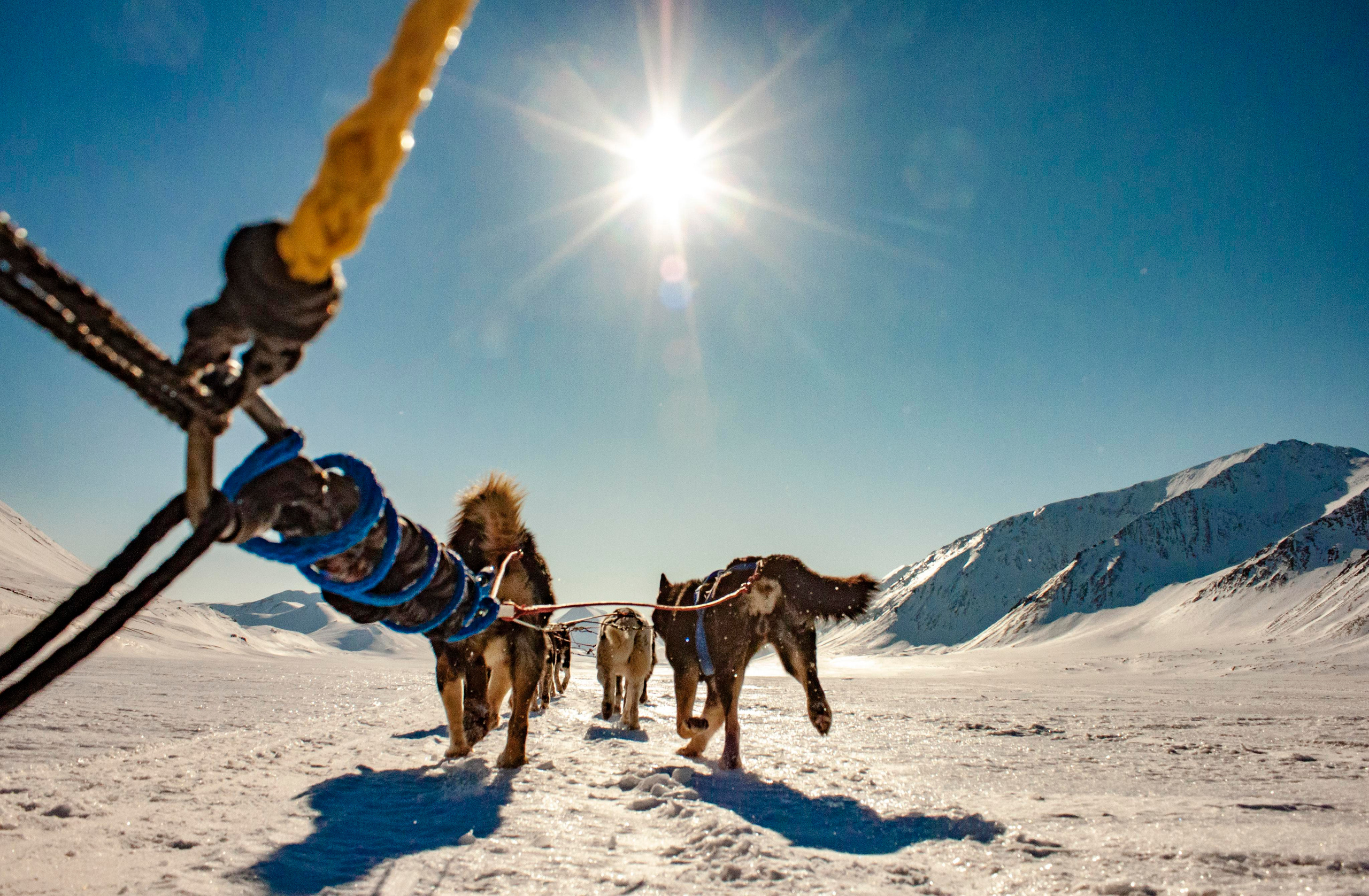 Архипелаг Шпицберген. Работа в Арктике. Фотограф Москва, Сергиев Посад