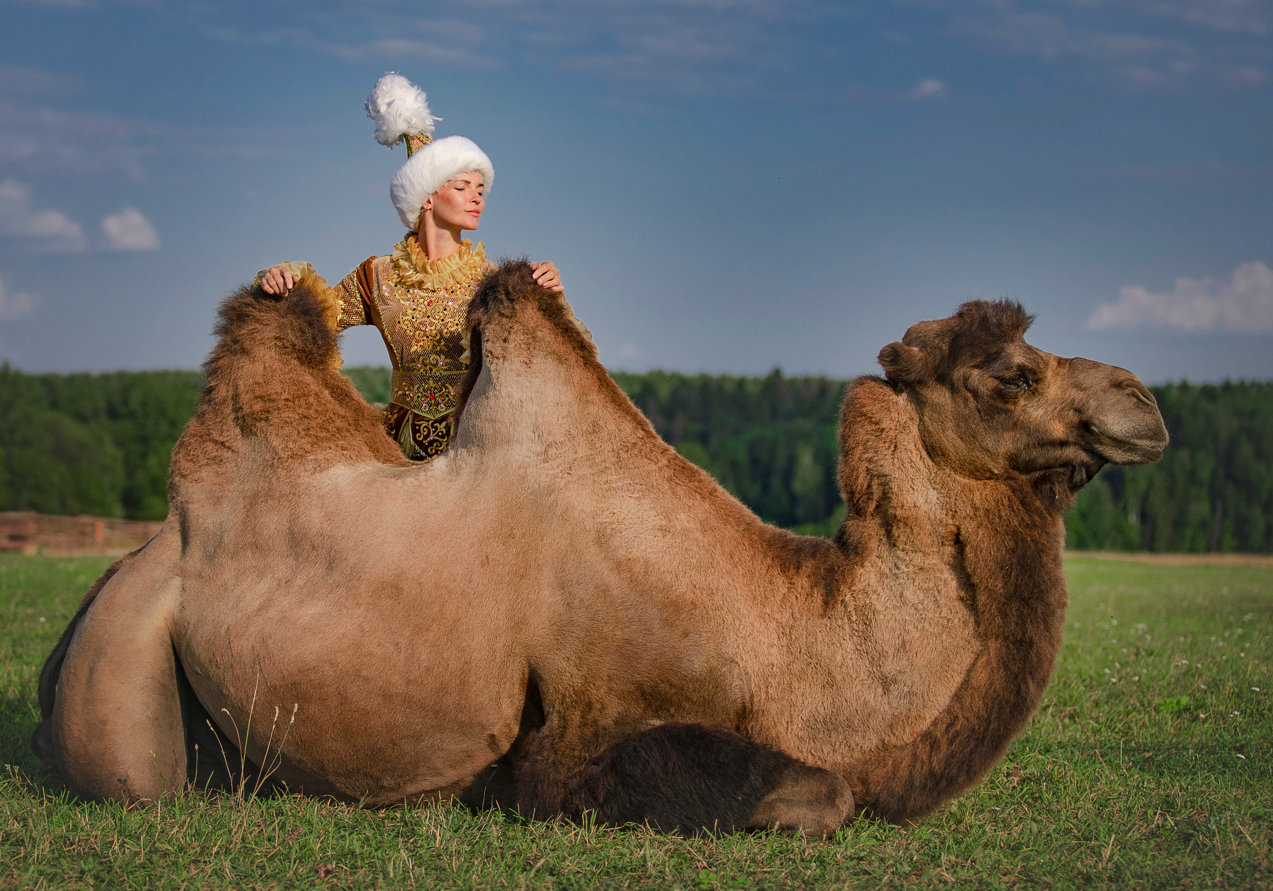 Фотосессия с животными. Фотограф Москва, Сергиев Посад