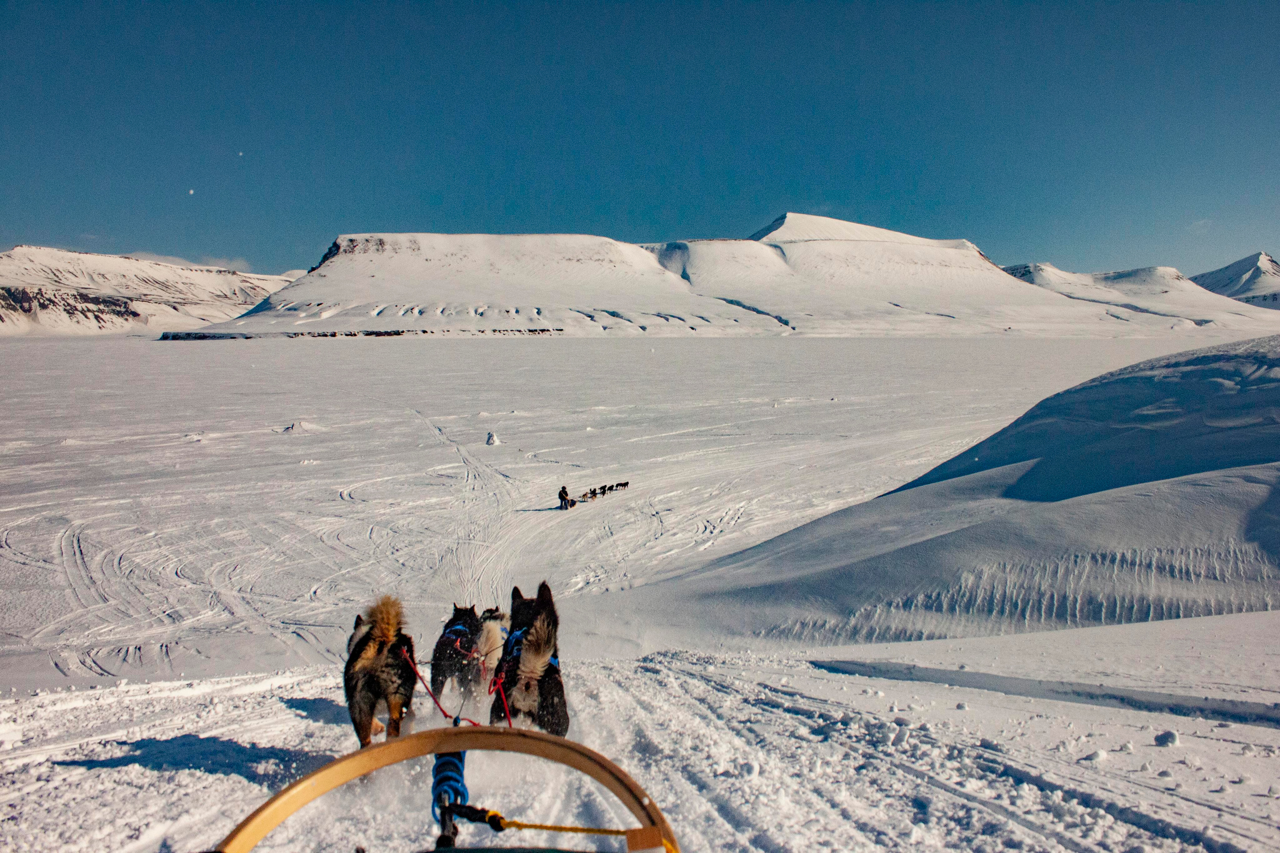 Архипелаг Шпицберген. Работа в Арктике. Фотограф Москва, Сергиев Посад