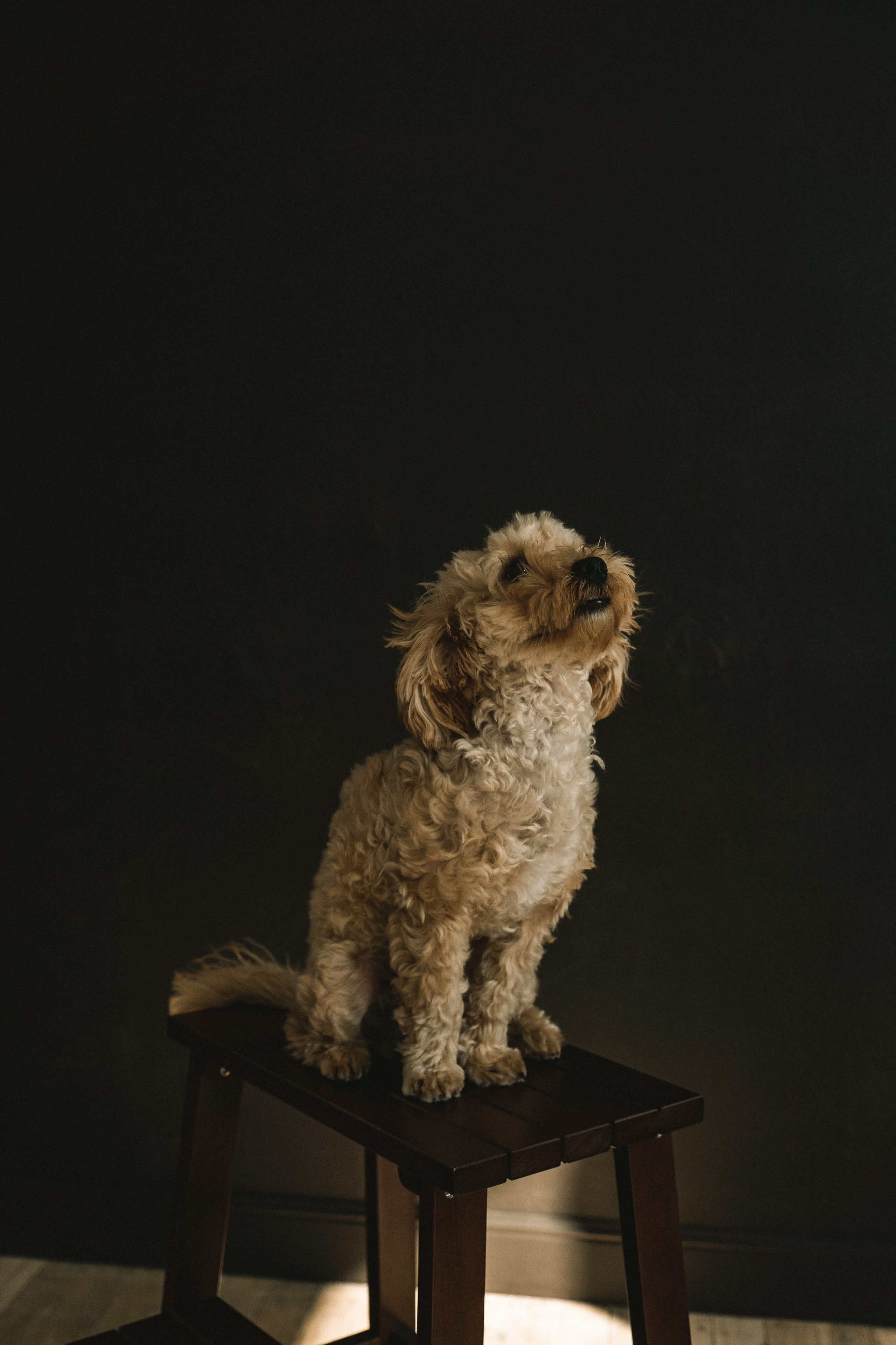 Осень в «Весне». Семейная фотосъемка для Ани, Дани и Маши. Портретный и семейный фотограф в Санкт-Петербурге Чугунова Анастасия