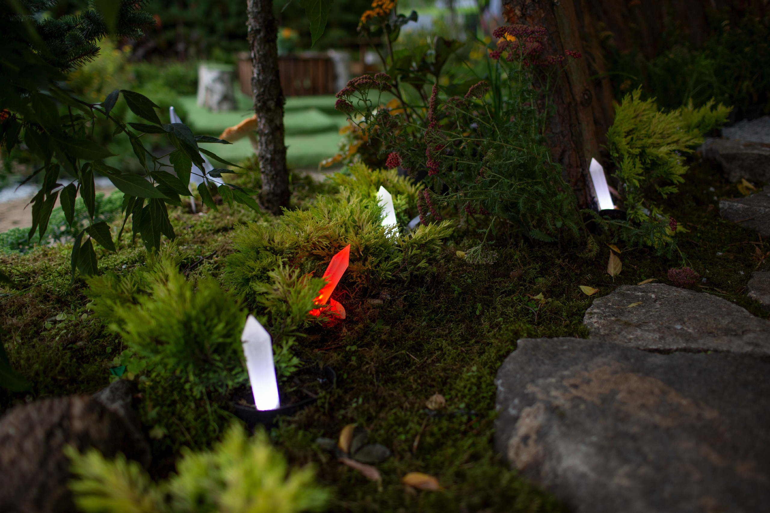 Декоративный ландшафтный свет TEMPARIUM. Фотограф Наталья Молчанова