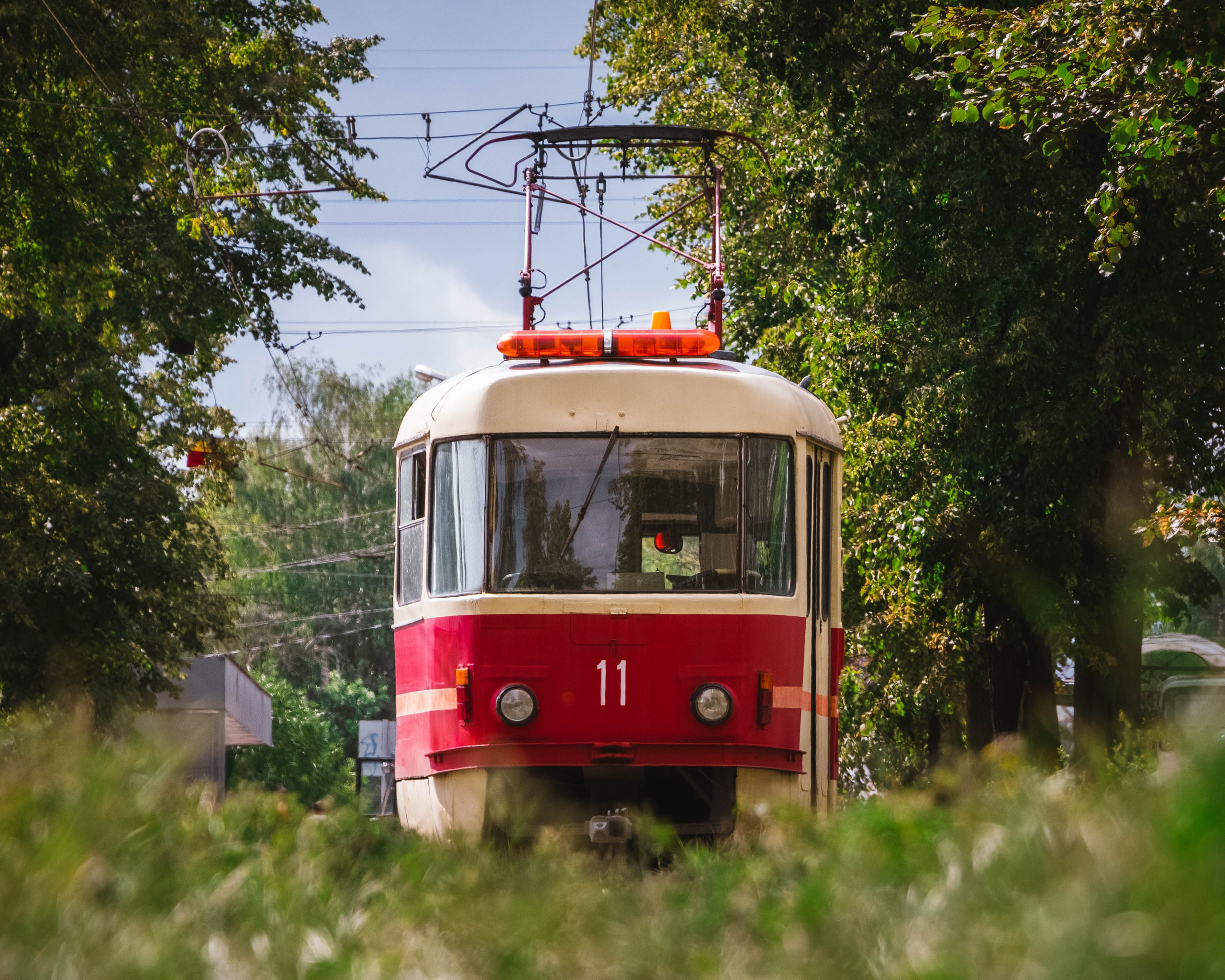 Трамваи. Олег Романов. Мастер фото по спорту