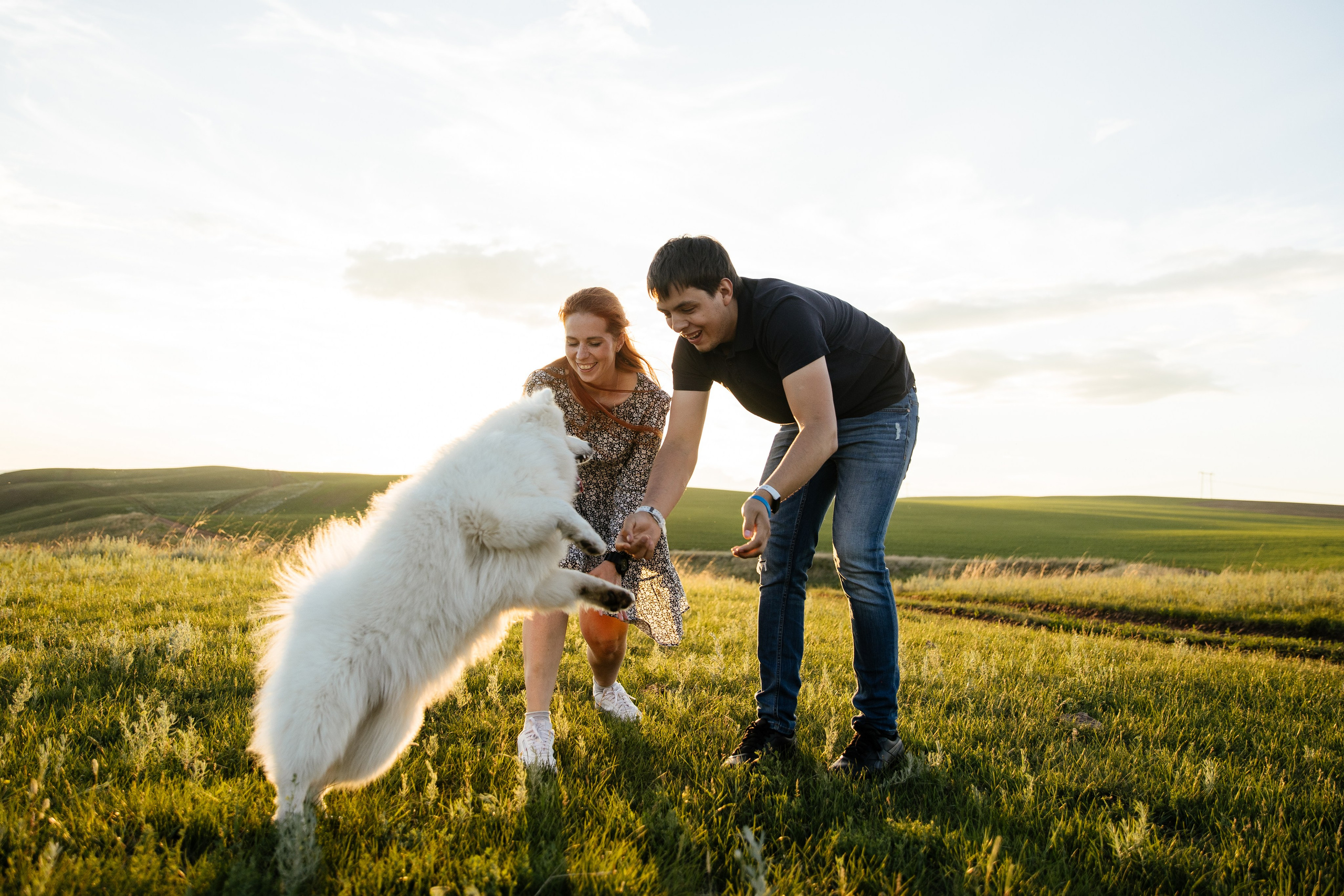 Пушистое облачко. Свадебный и семейный фотограф в Красноярске Сиско Ксения