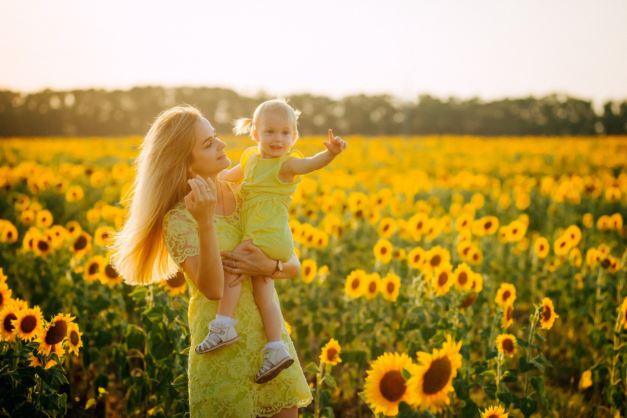 Подсолнухи!. Семейный, детский, свадебный, фотограф в городе Анапа