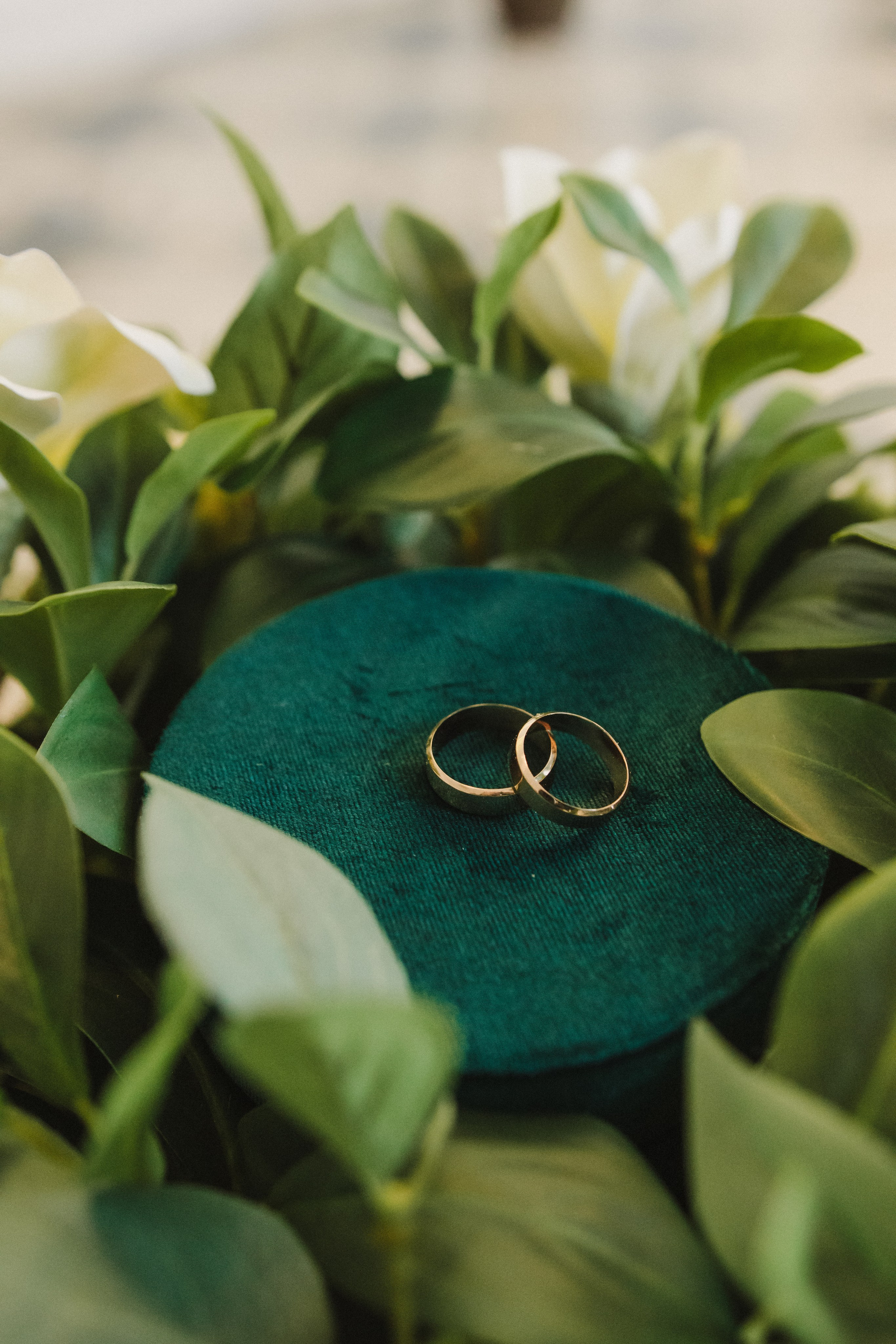 Надежда и Роман. Фотограф Новосибирск