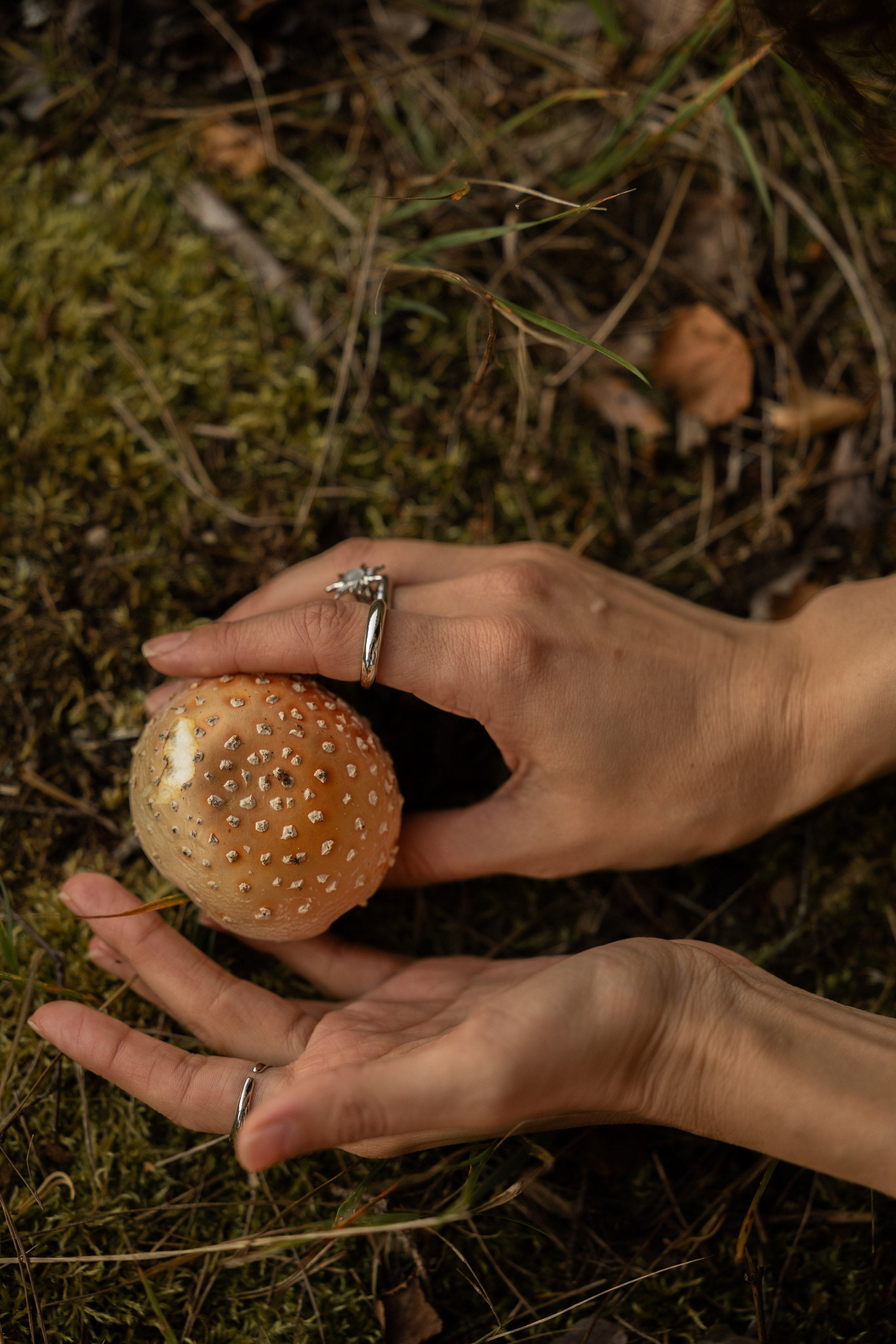 Осенние приключения. Kharchenkotatianaweddingphoto