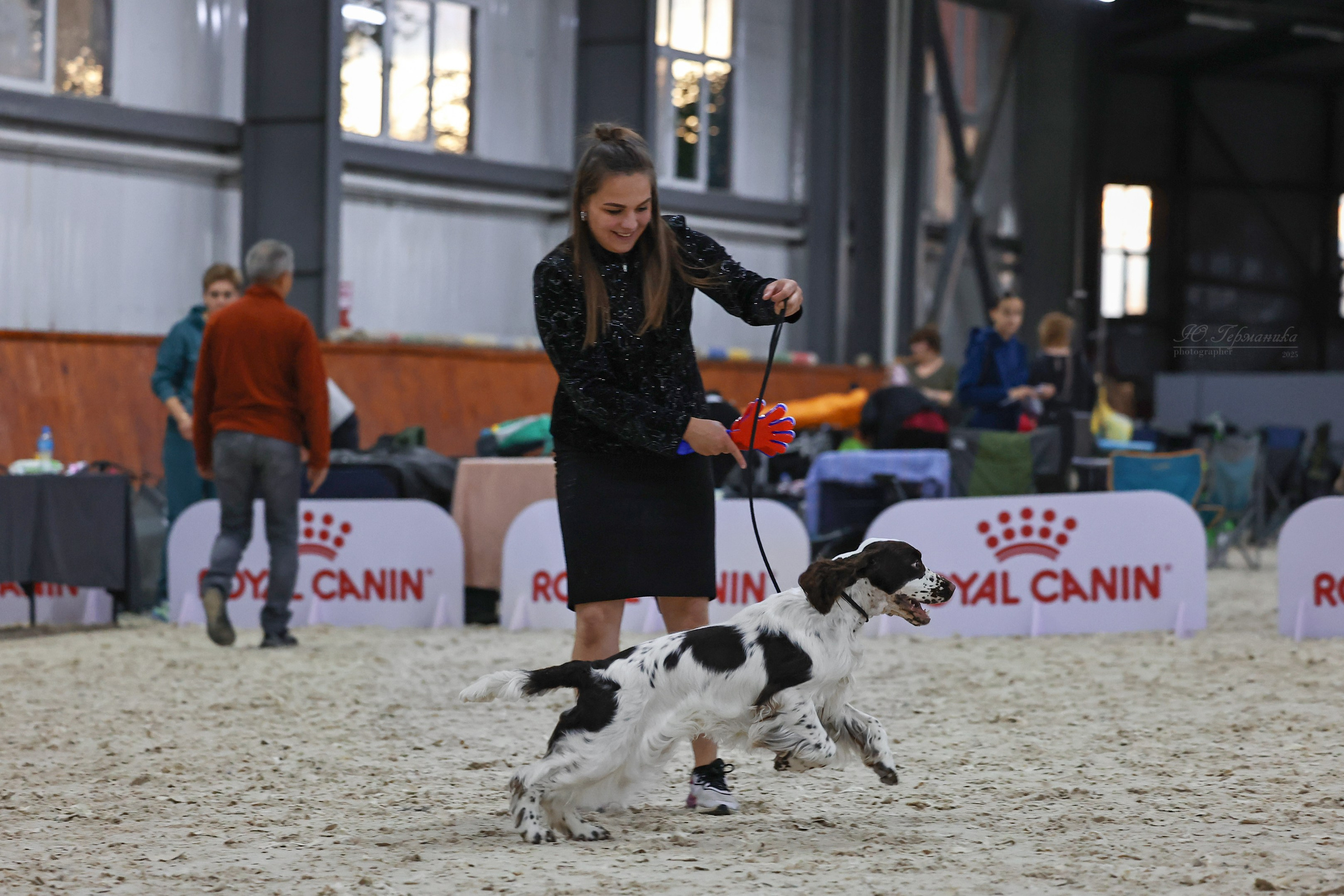 Астана 2хCACIB 26-28.09.2025. Фотограф-анималист Юлия Германика