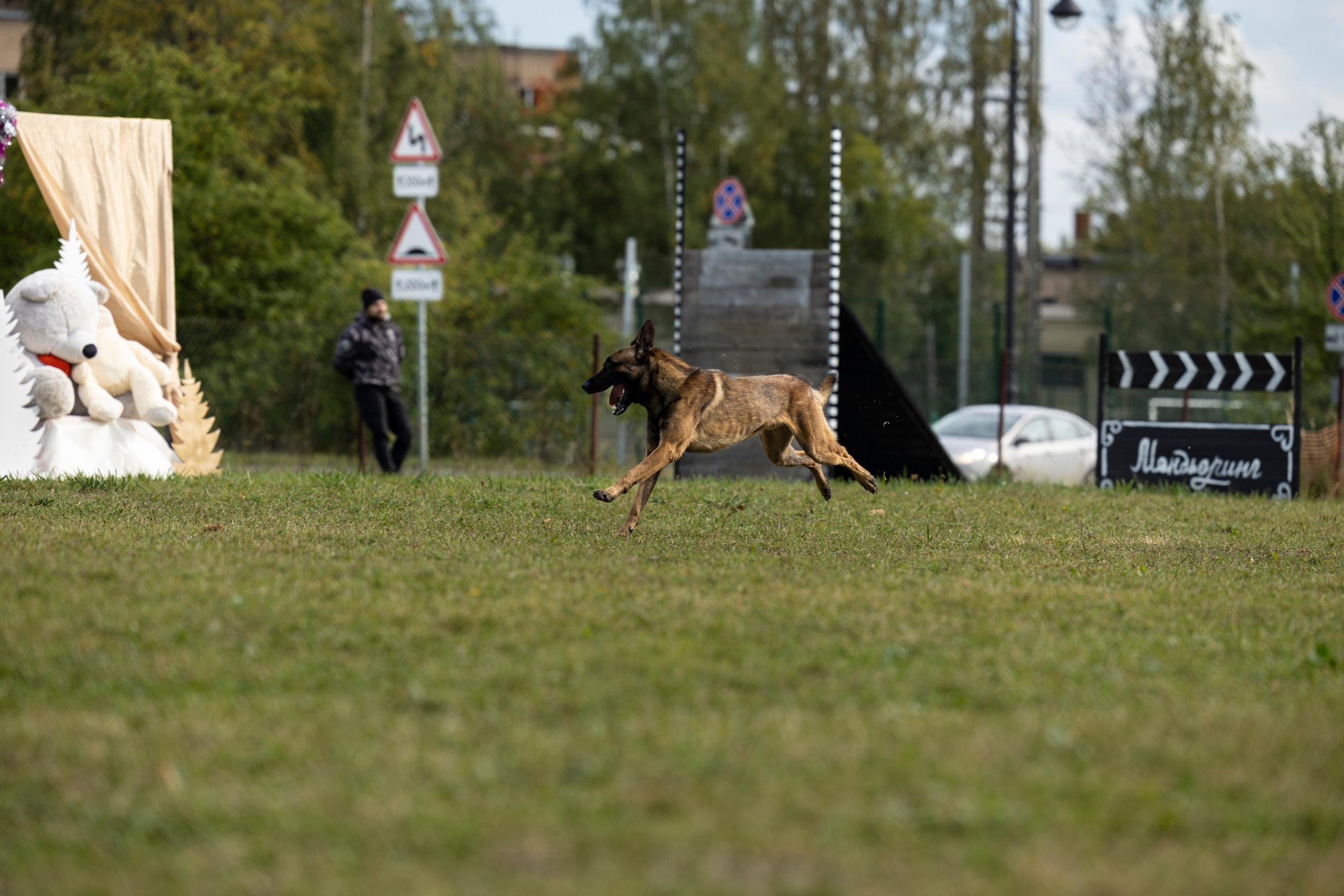 Испытания по Мондьорингу г. Пушкин. Фотограф-анималист Анна Маринич