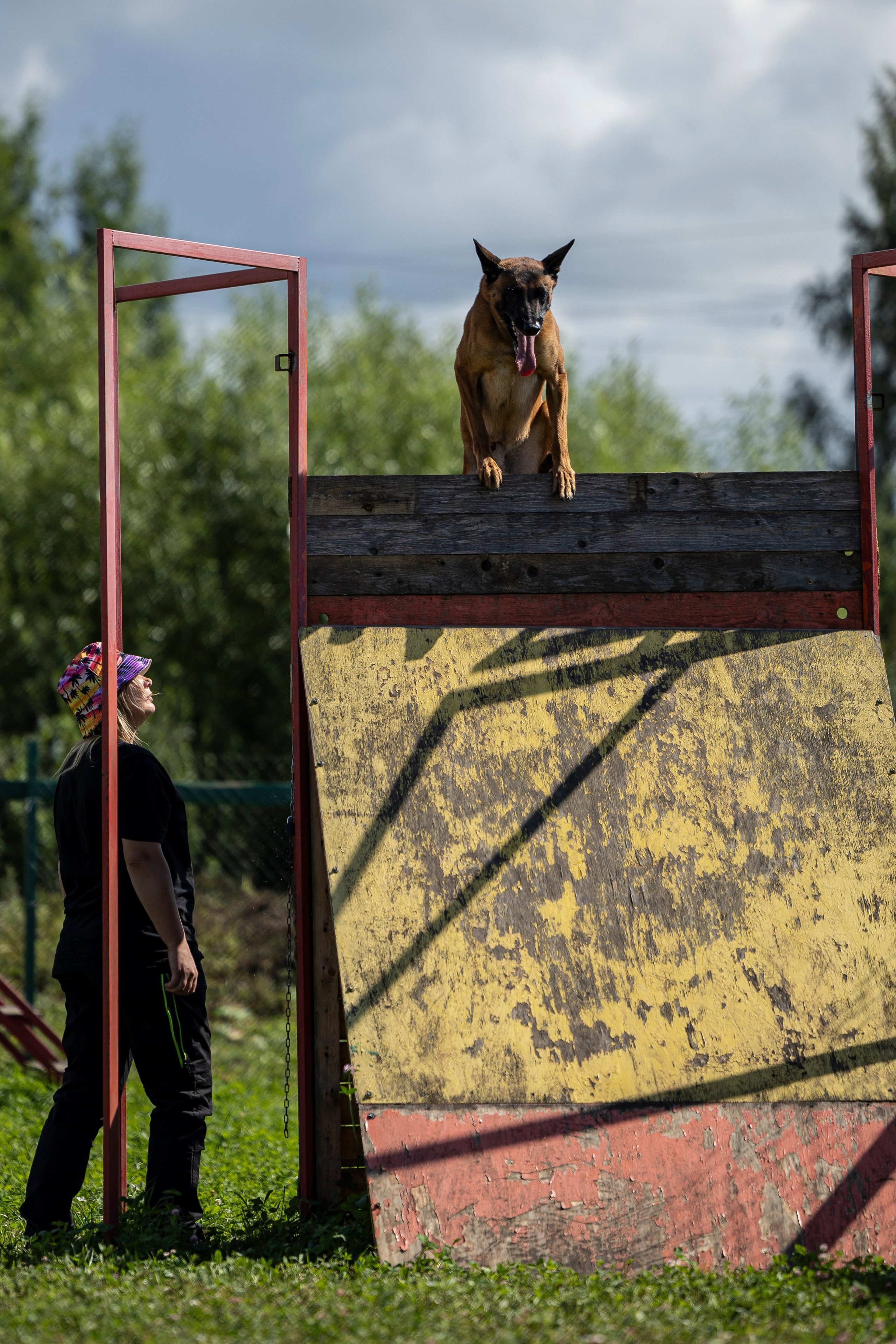 Соревнования по Мондьорингу г. Вологда 10-11.08.2024. Фотограф-анималист Анна Маринич