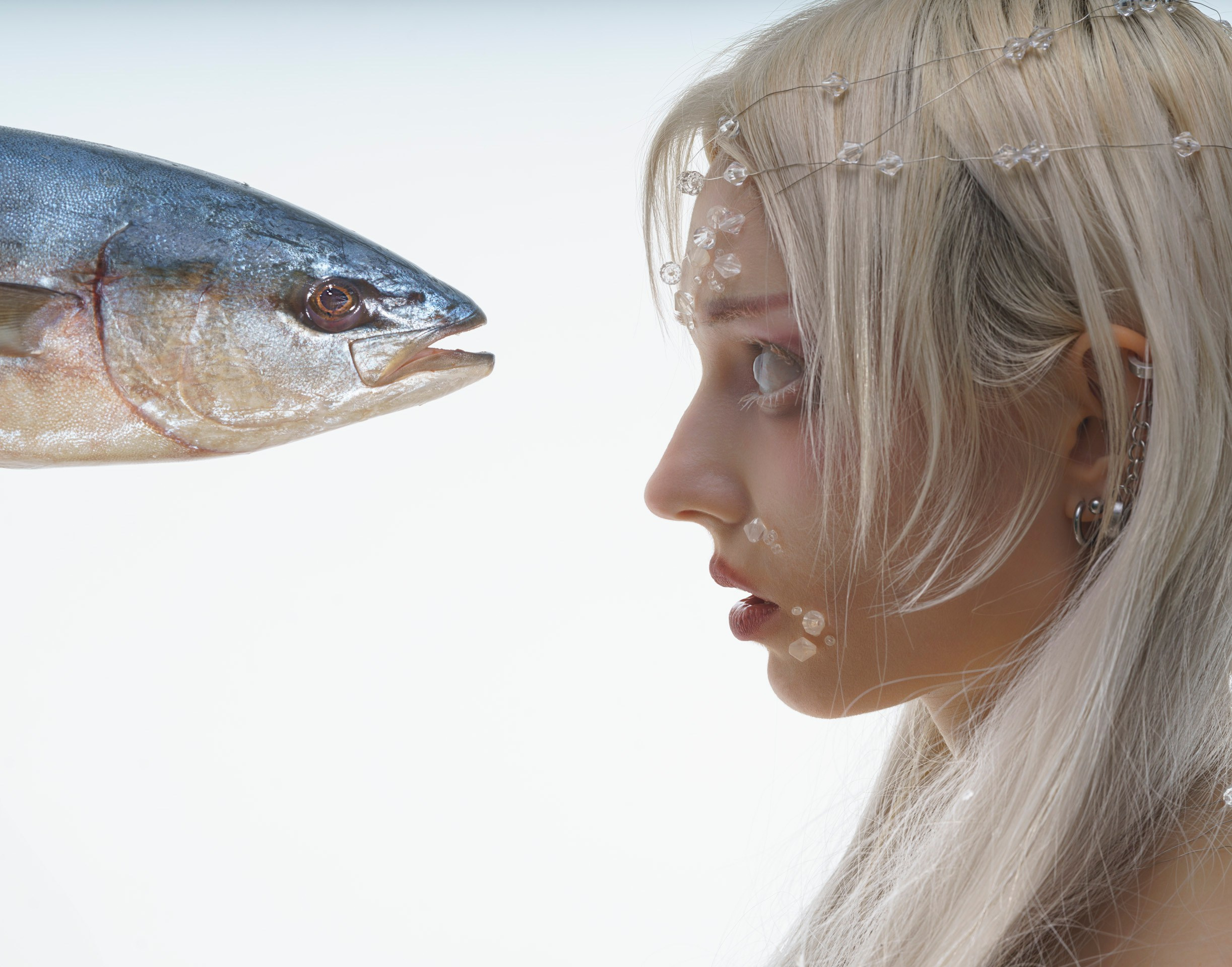 Рыба. Фотограф Сергей Танков