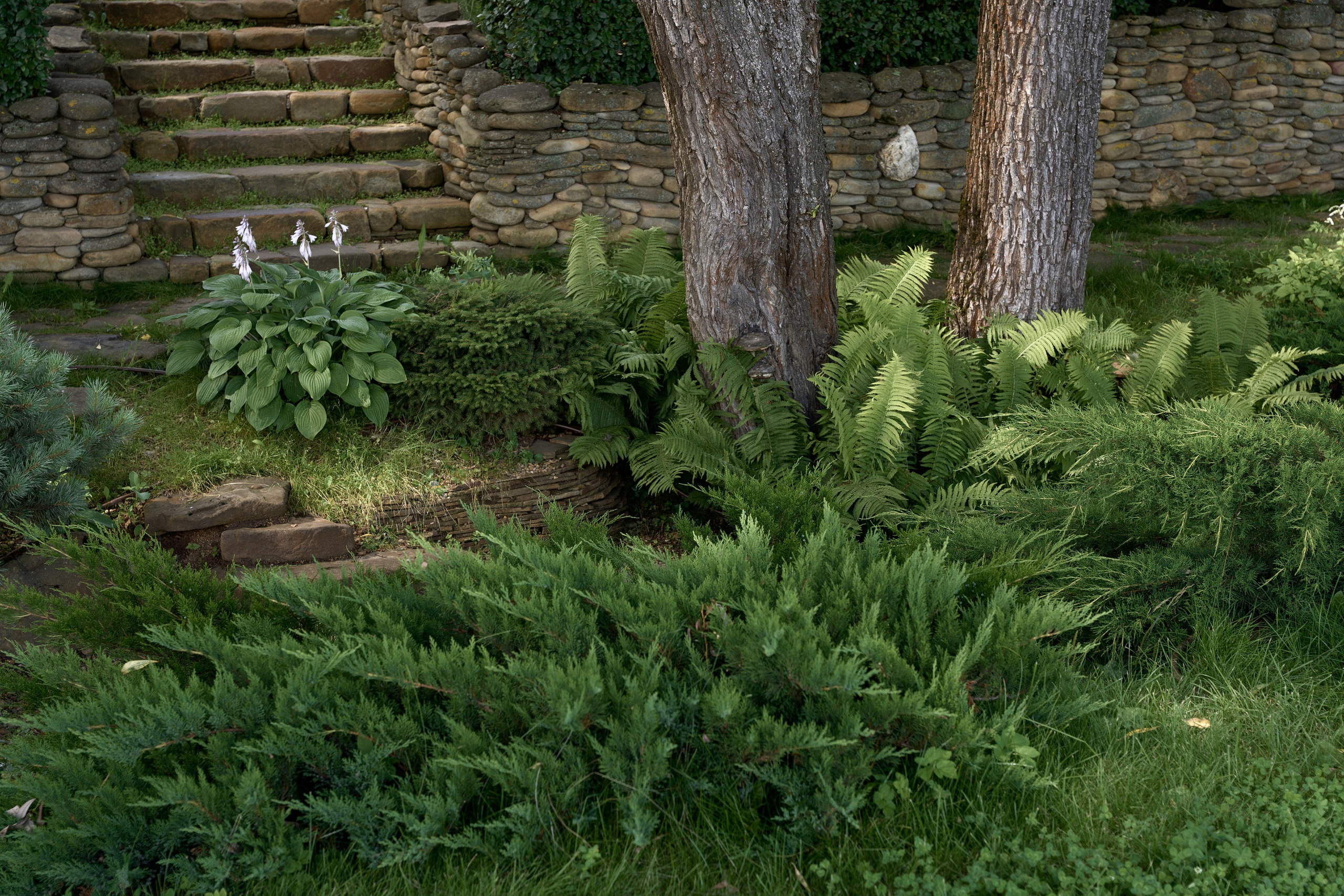 Москва (Сенешаль). Свадебный фотограф Наталья Помазкина | Репортаж Екатеринбург Москва