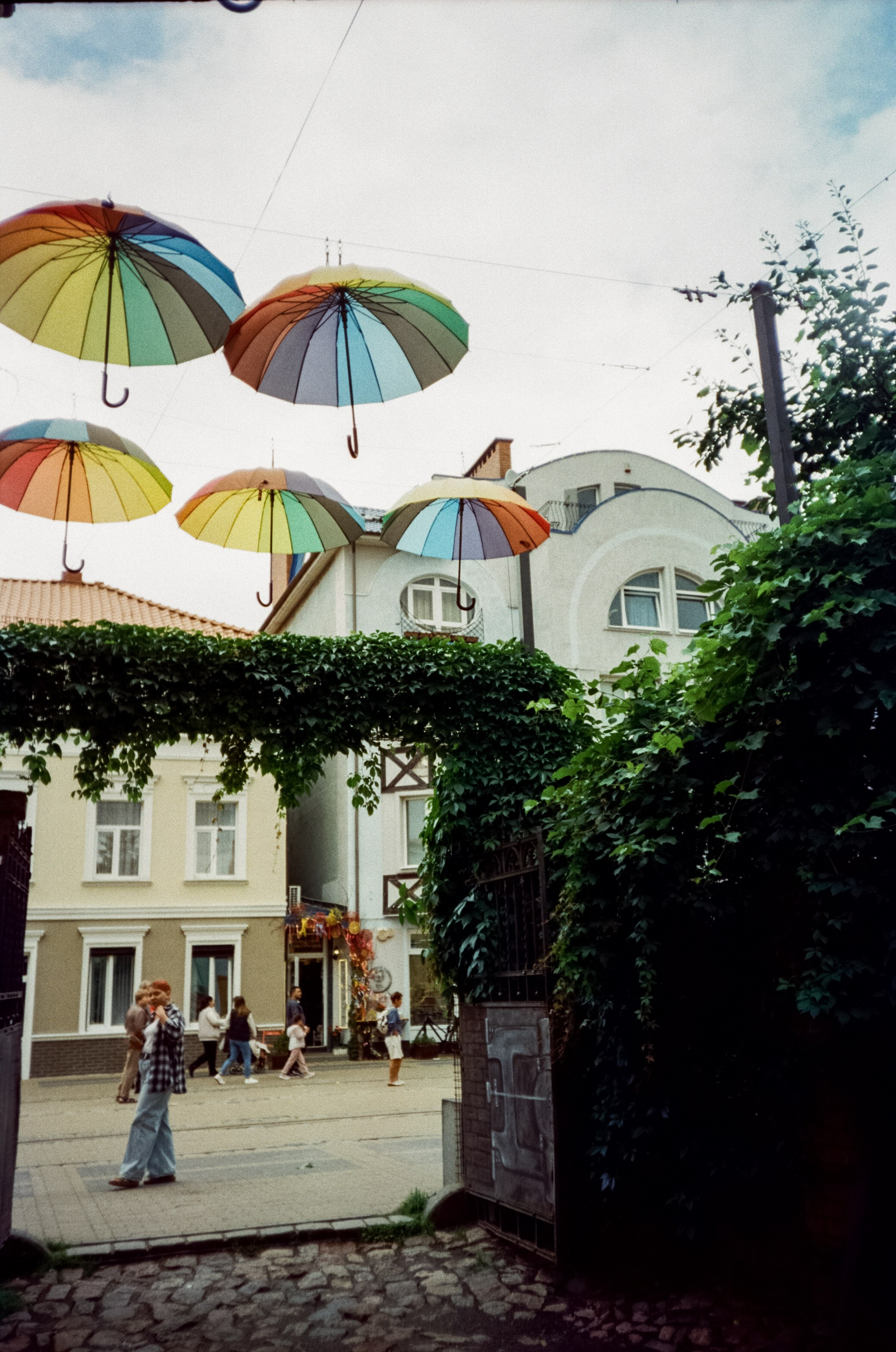 День в Зеленоградске. Суровая Балтика и пряничный кото-городок. Фотограф-документалист Мария Осокина