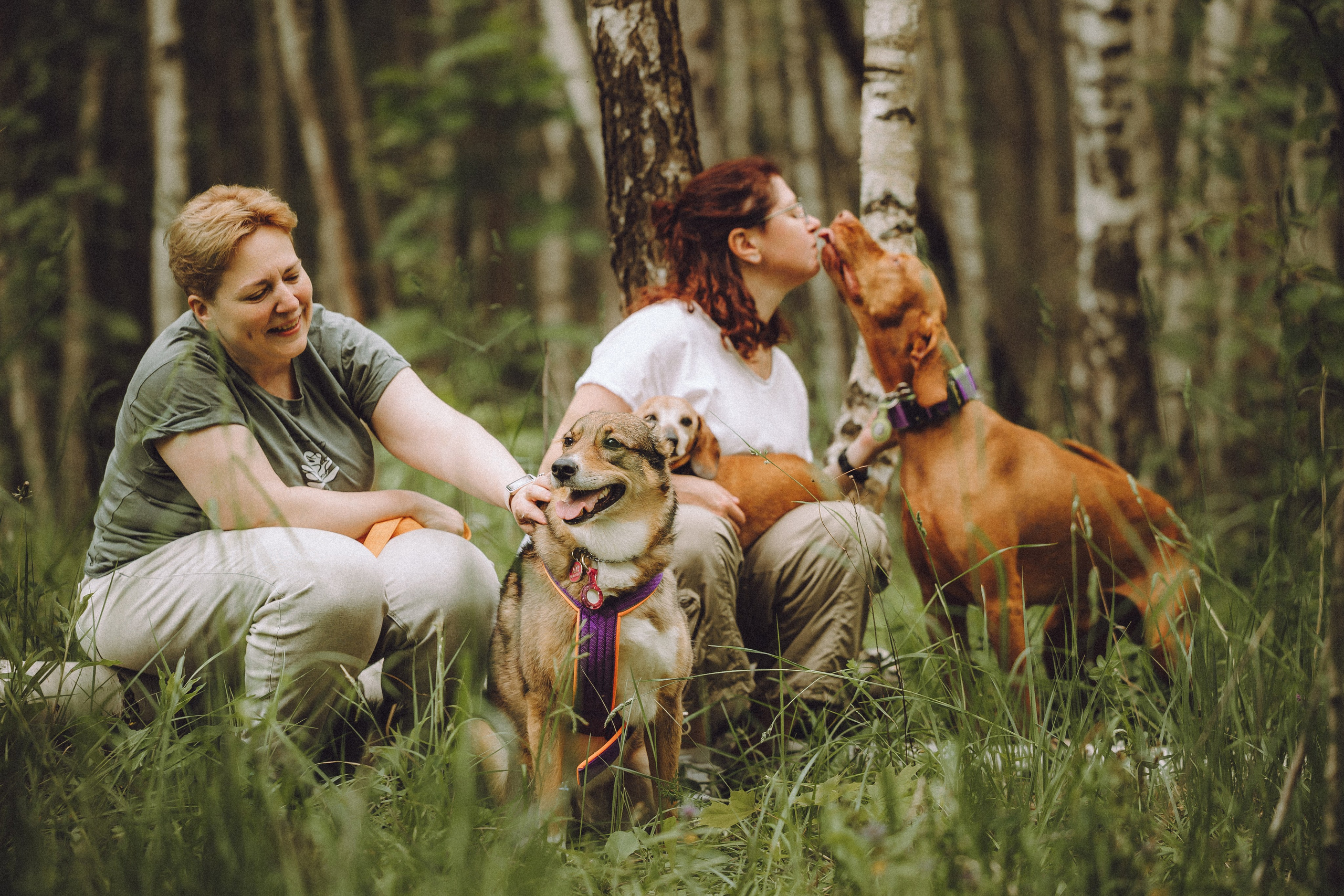 Груша, Данни, Фунтик и их семья