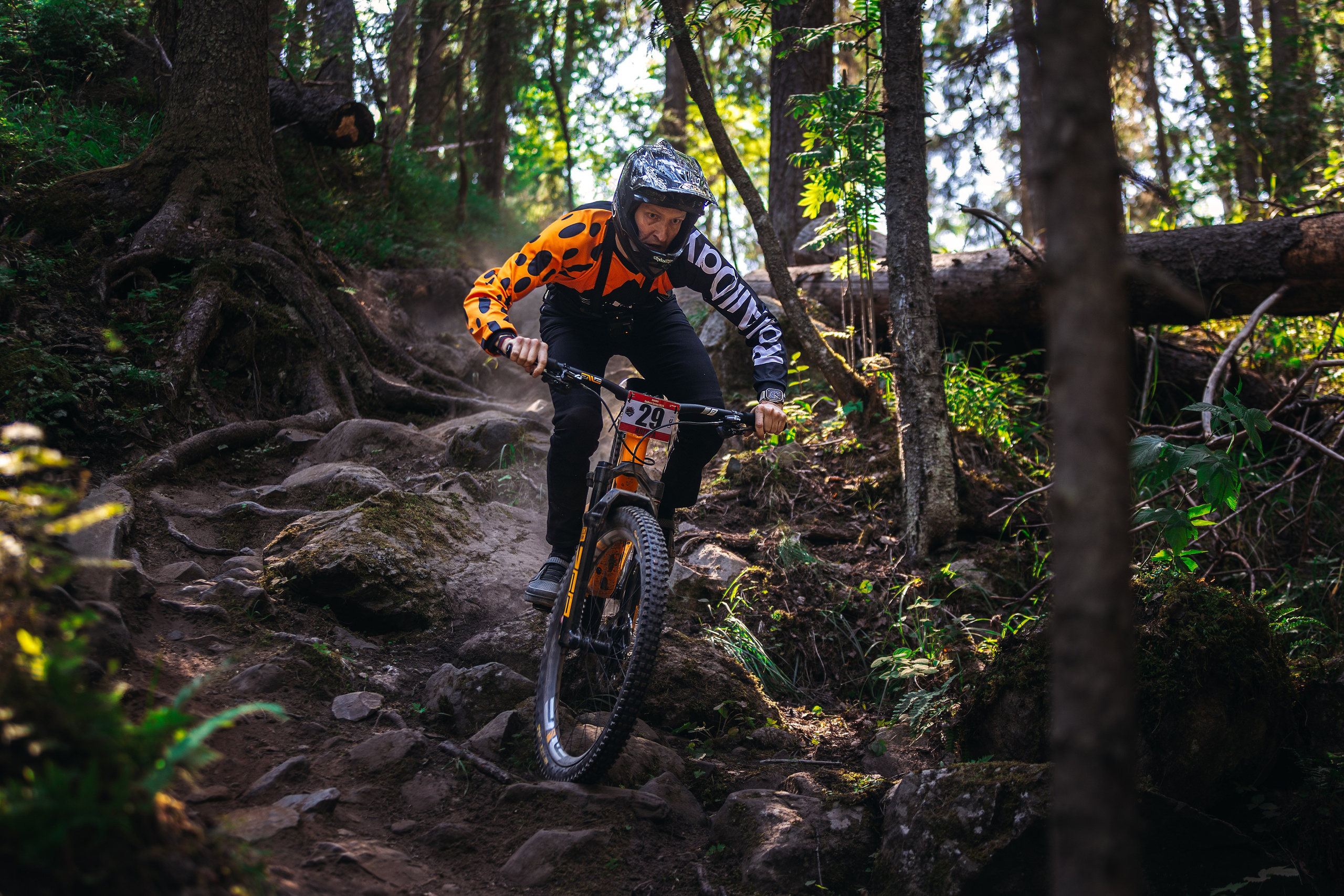 Гонка Ялгора. Фотограф анималист Никита Натальный