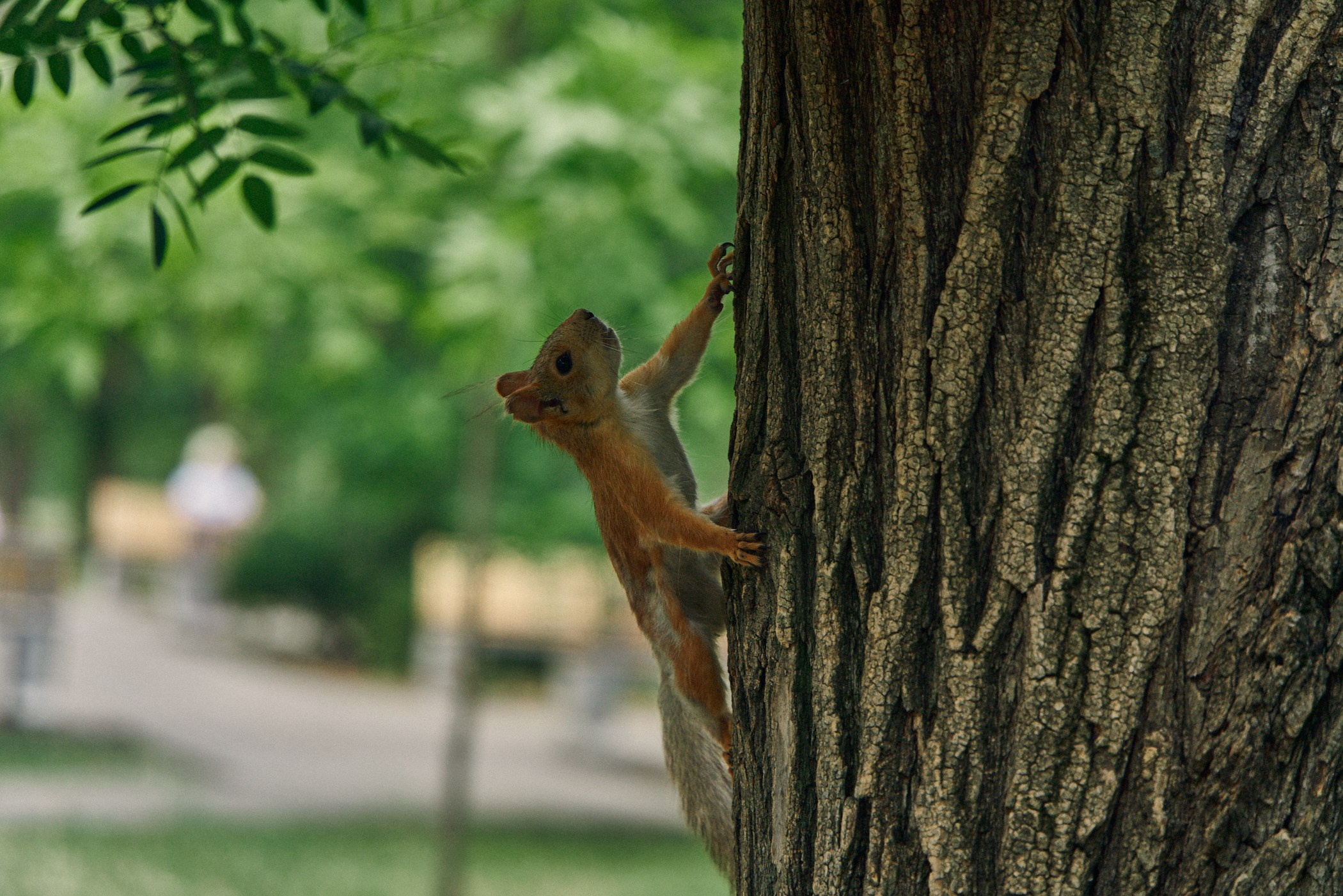 Фотографии улиц и пляжей Анапы. Профессиональный фотограф в Анапе Артем Ковальский