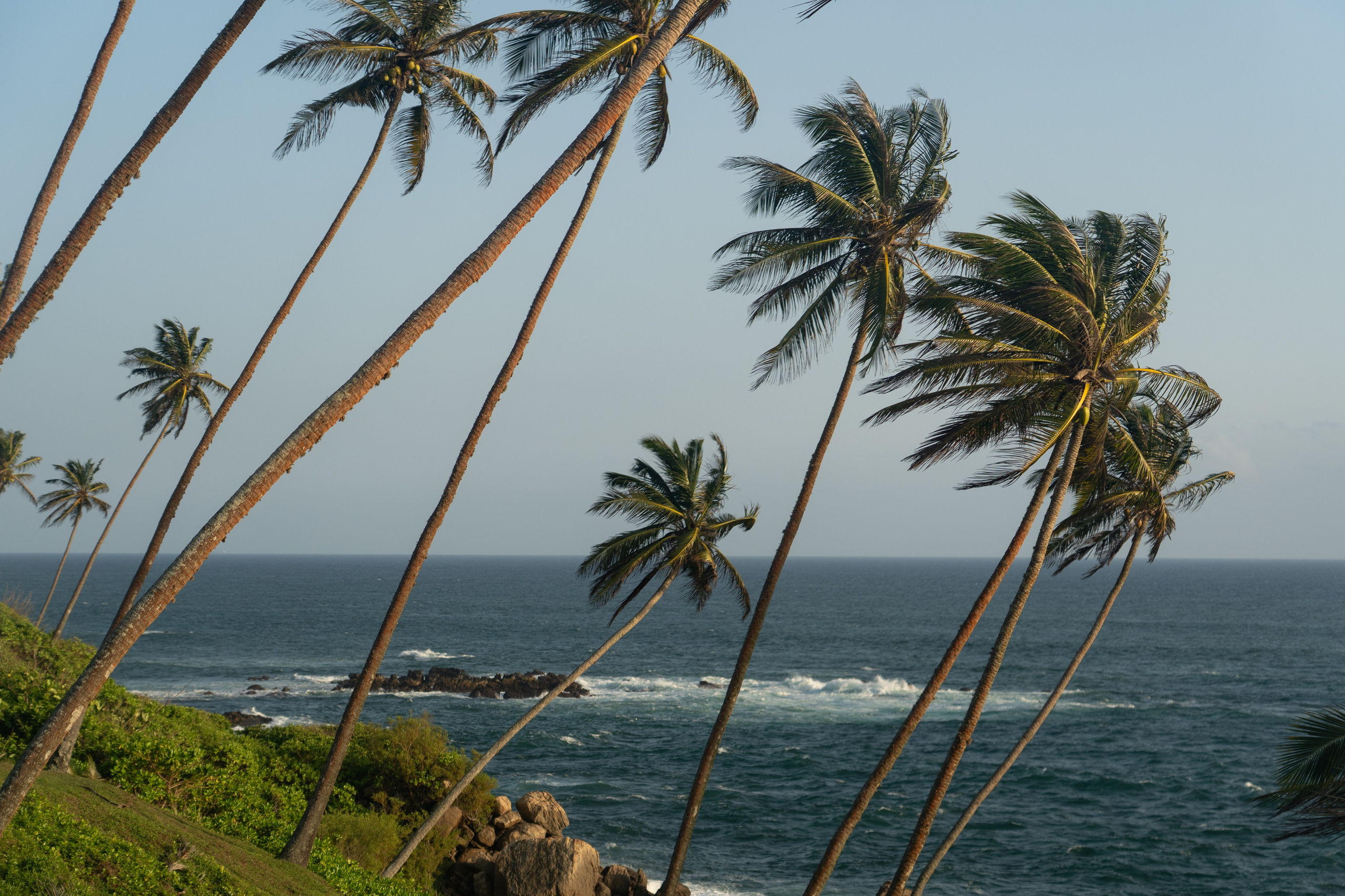 Как выбрать локацию для фотосессии на Шри-ланке?
