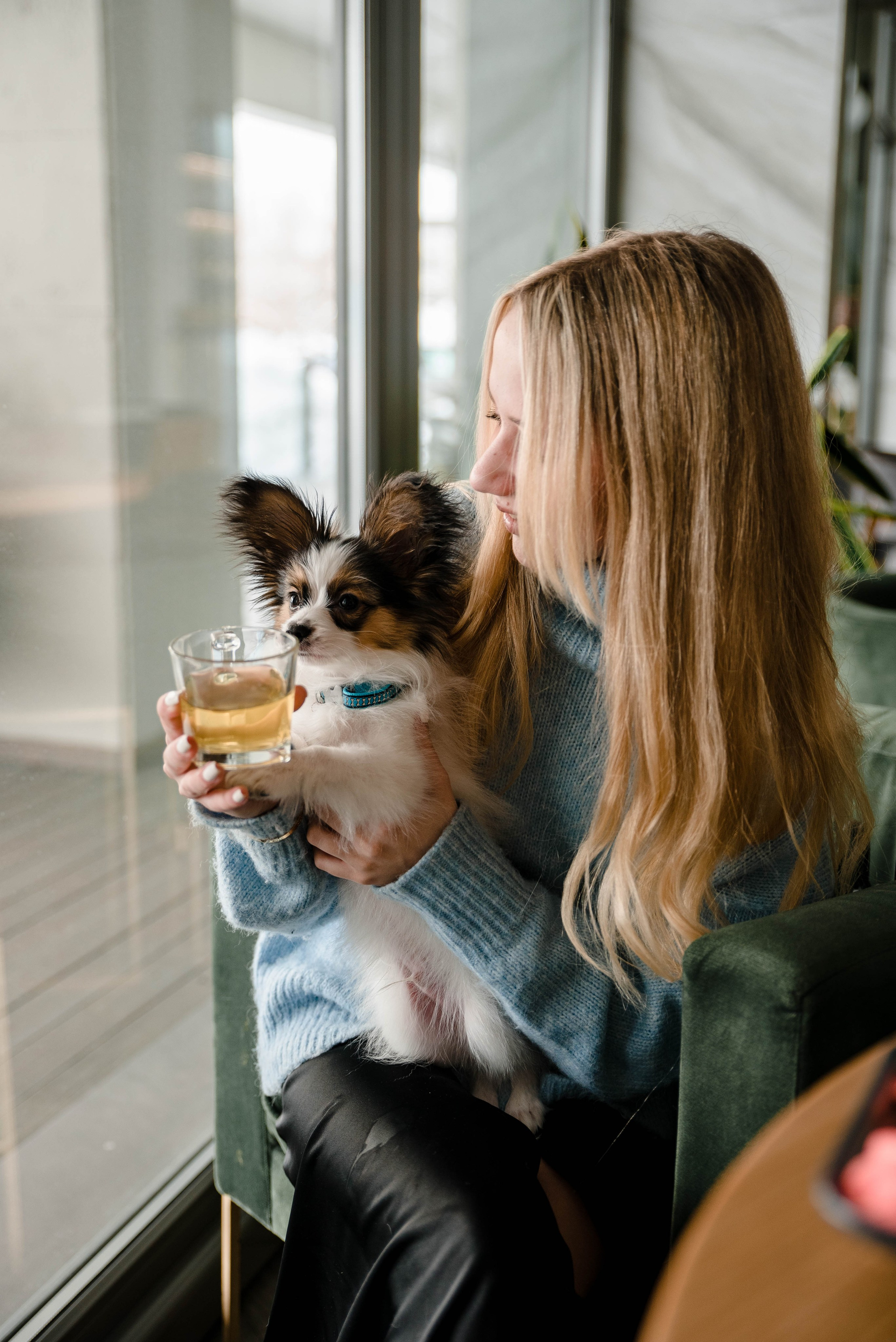 Настя, Света и Папийон Луней. Главная