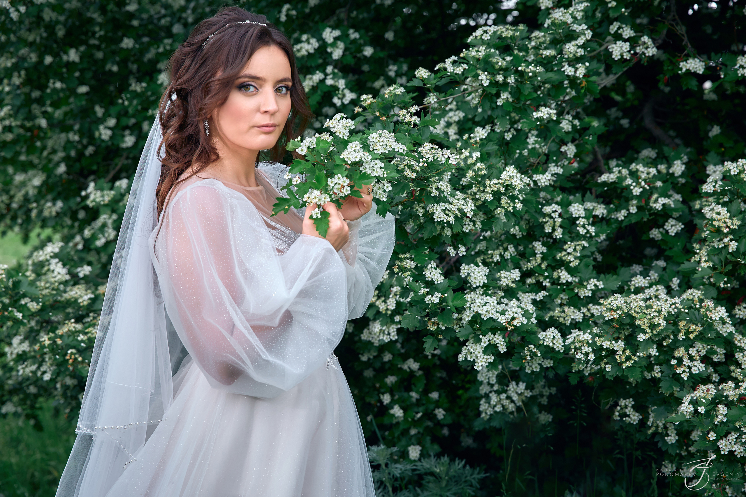 Максим и Дарья. Свадебный фотограф в Тольятти Жигулевске и Самаре Пономарев Евгений